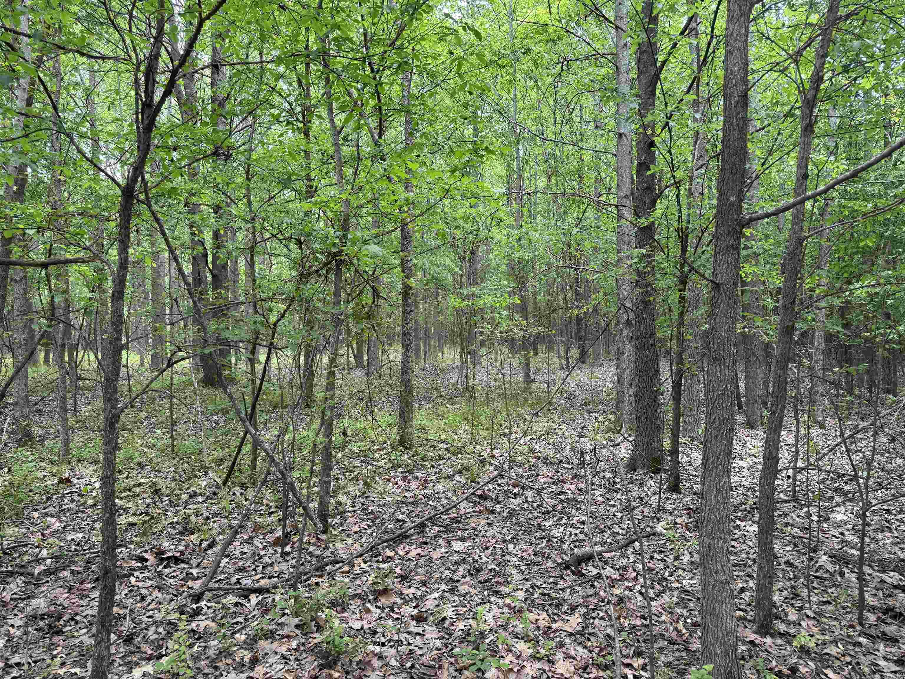 000 Hwy 64 Property Photo 12