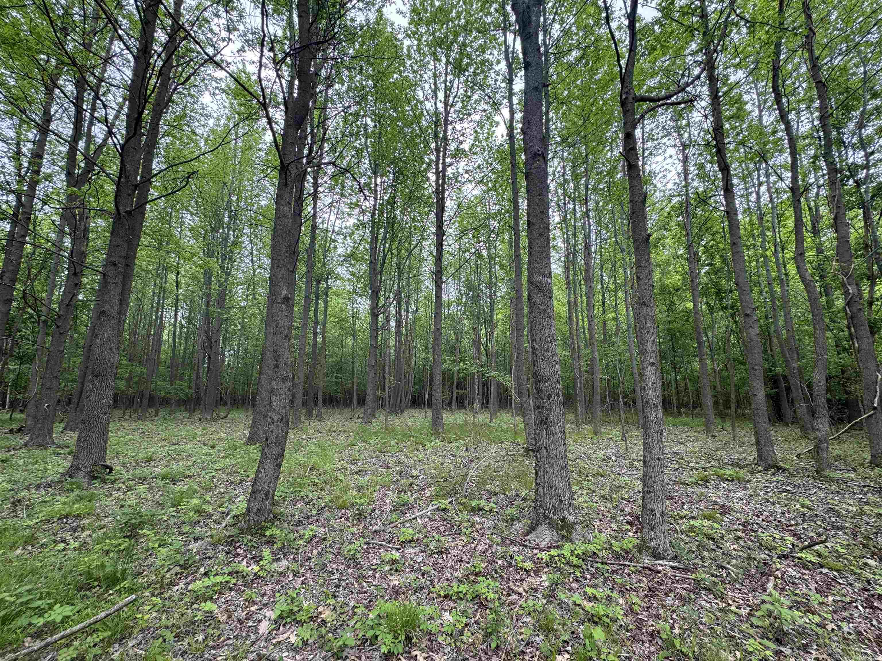 000 Hwy 64 Property Photo 13