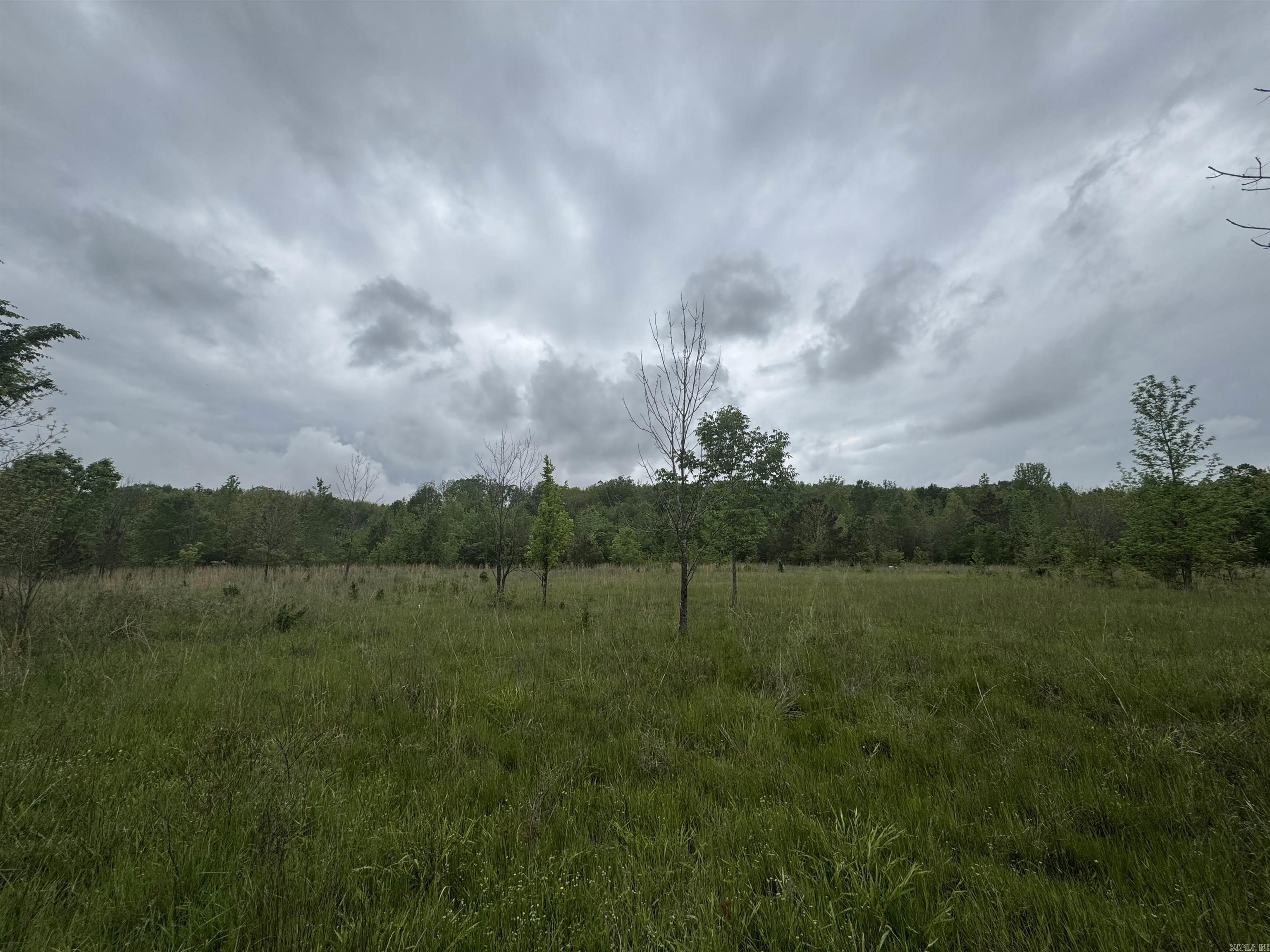 000 Hwy 64 Property Photo 17