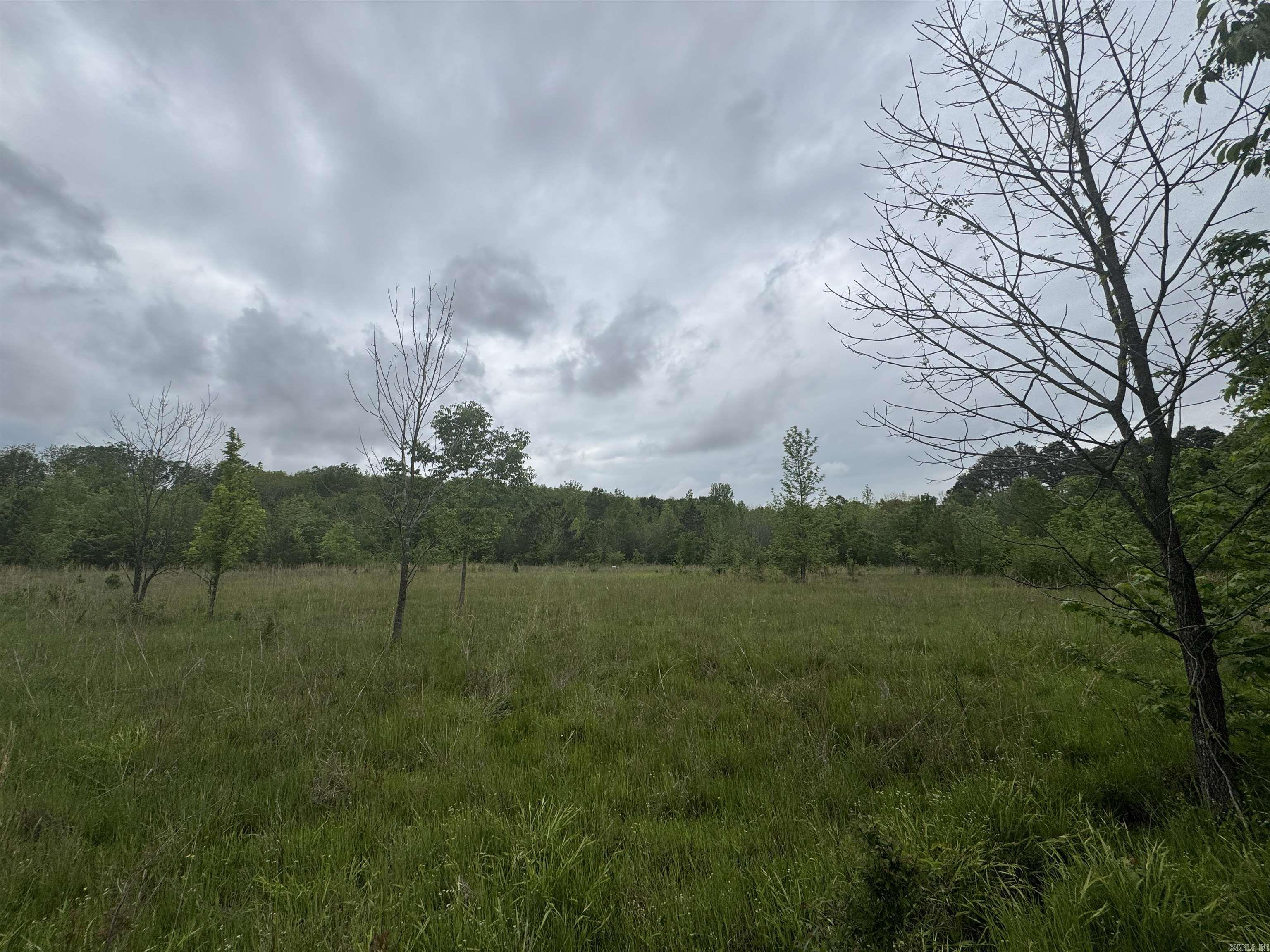 000 Hwy 64 Property Photo 18