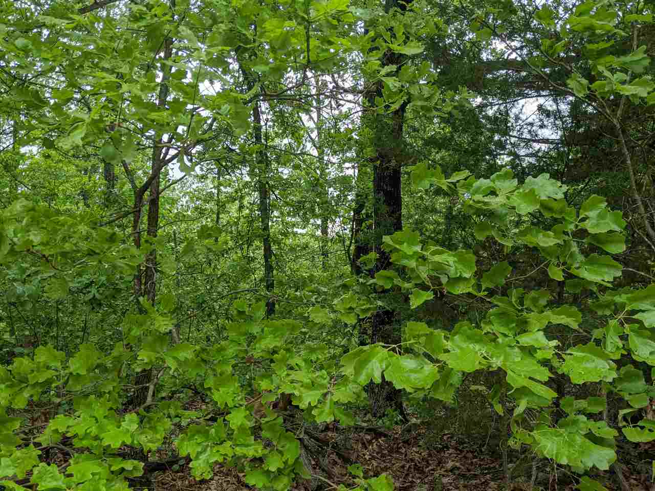 25016798 Property Photo 6