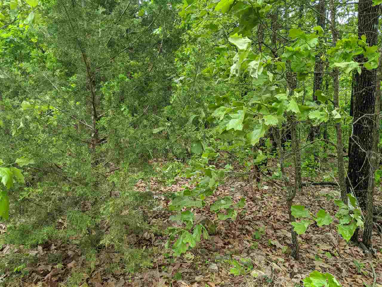 25016798 Property Photo 7