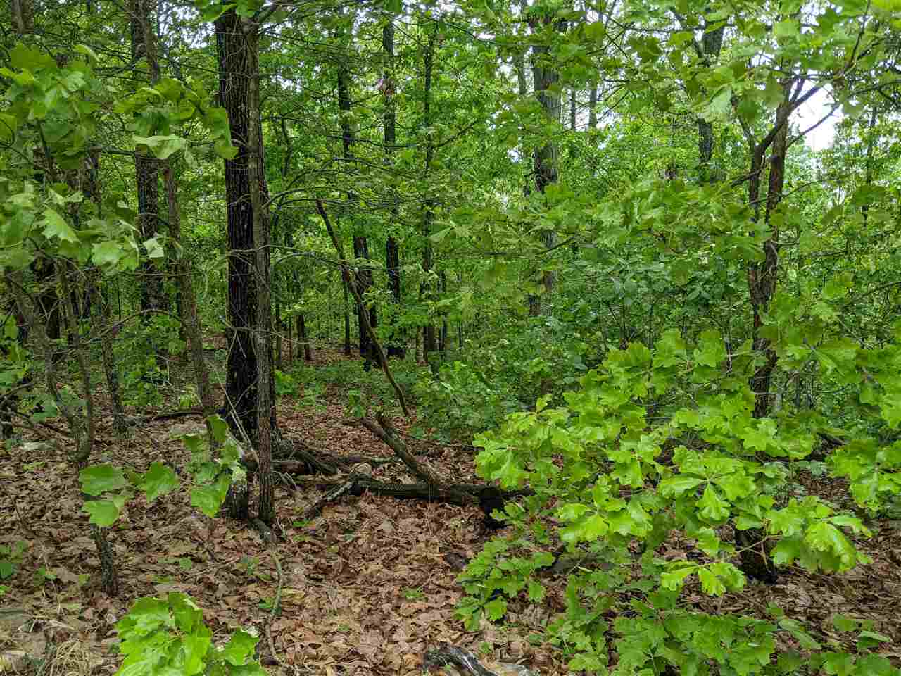 25016798 Property Photo 8