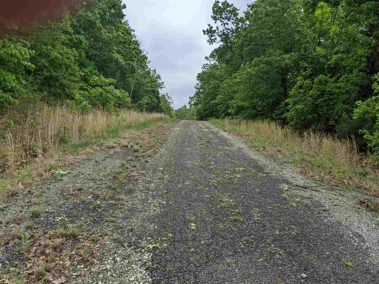 25016798 Property Photo 9