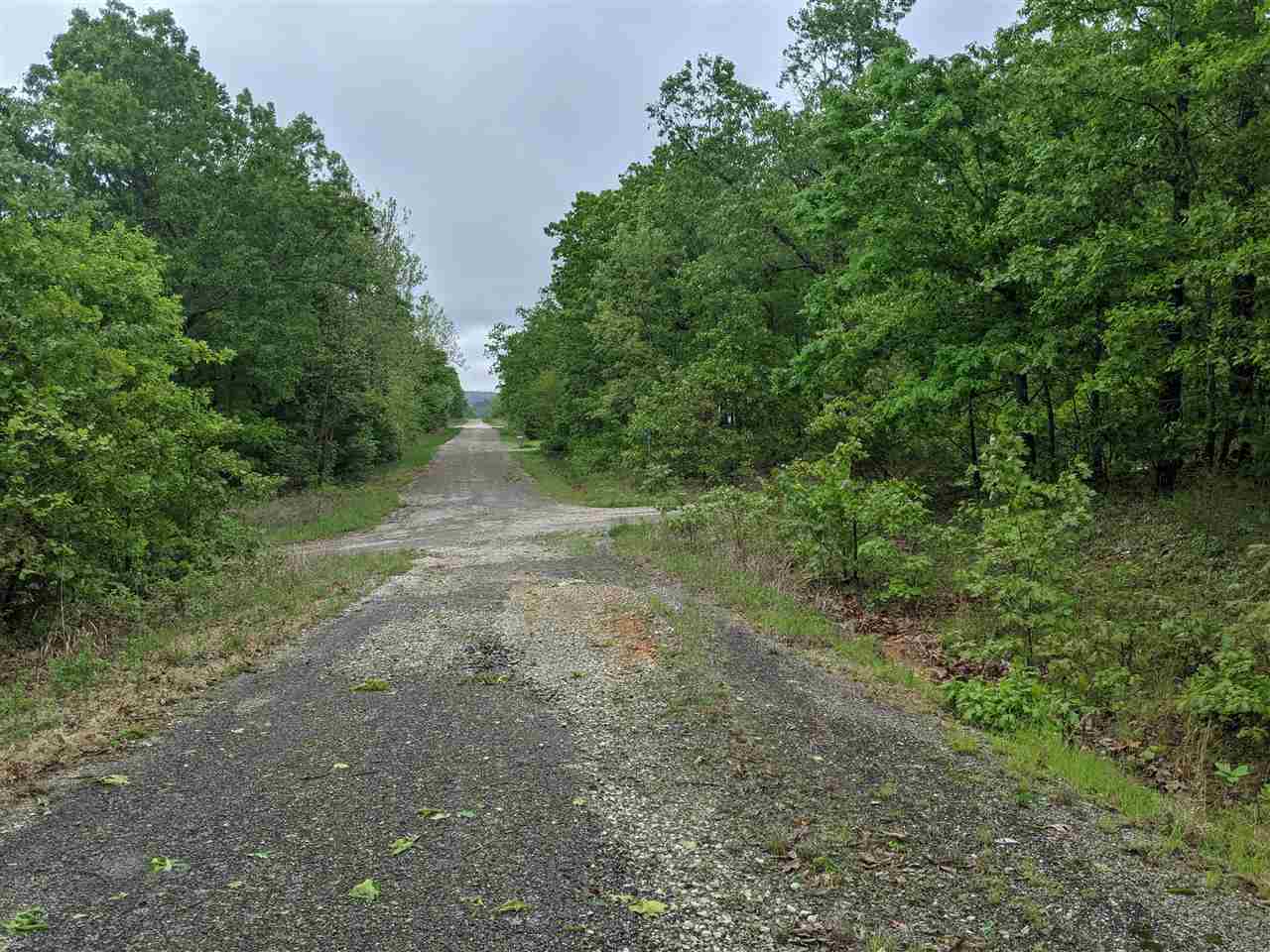 25016798 Property Photo 10