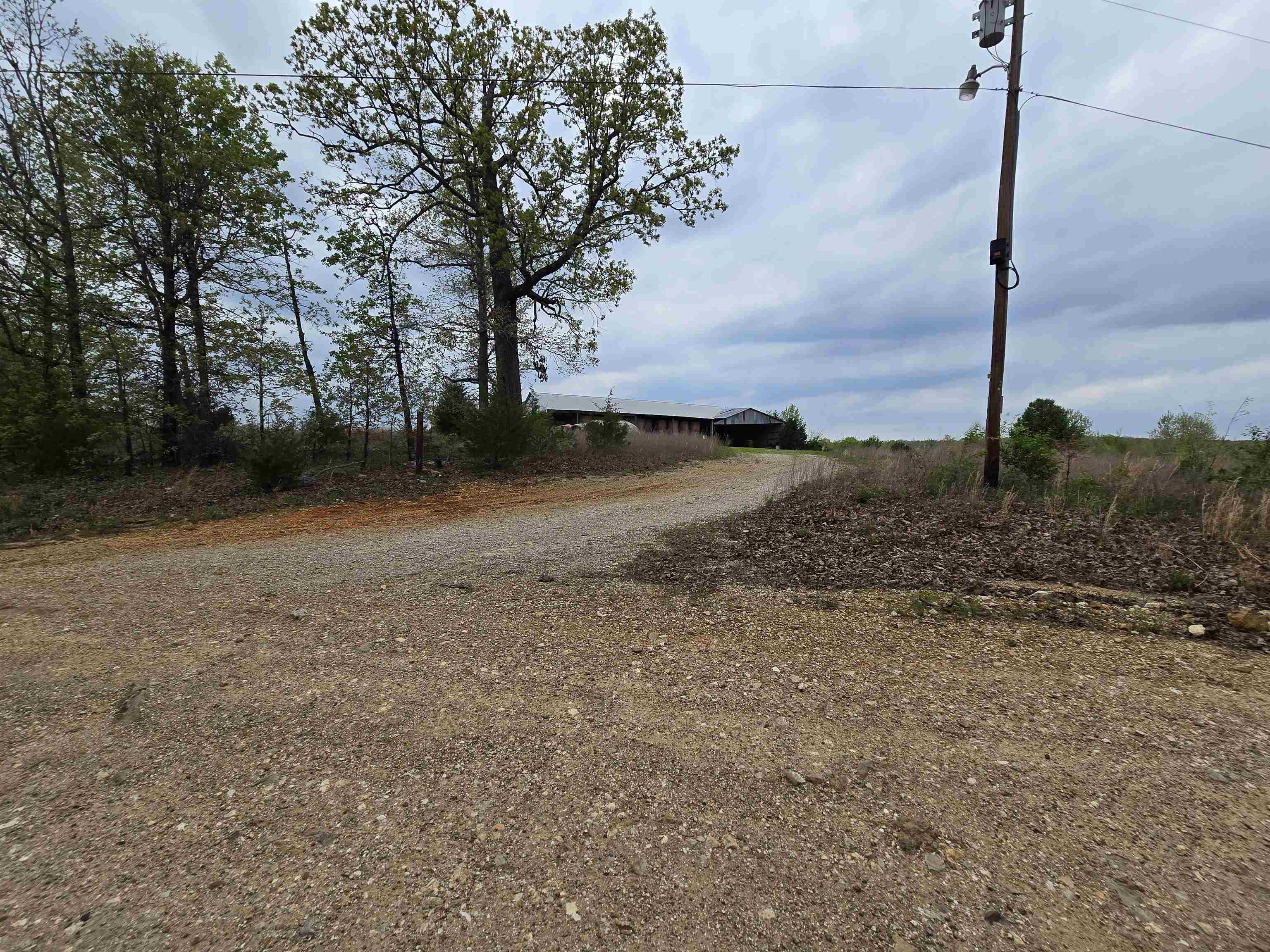 Moonlight Road Property Photo 6