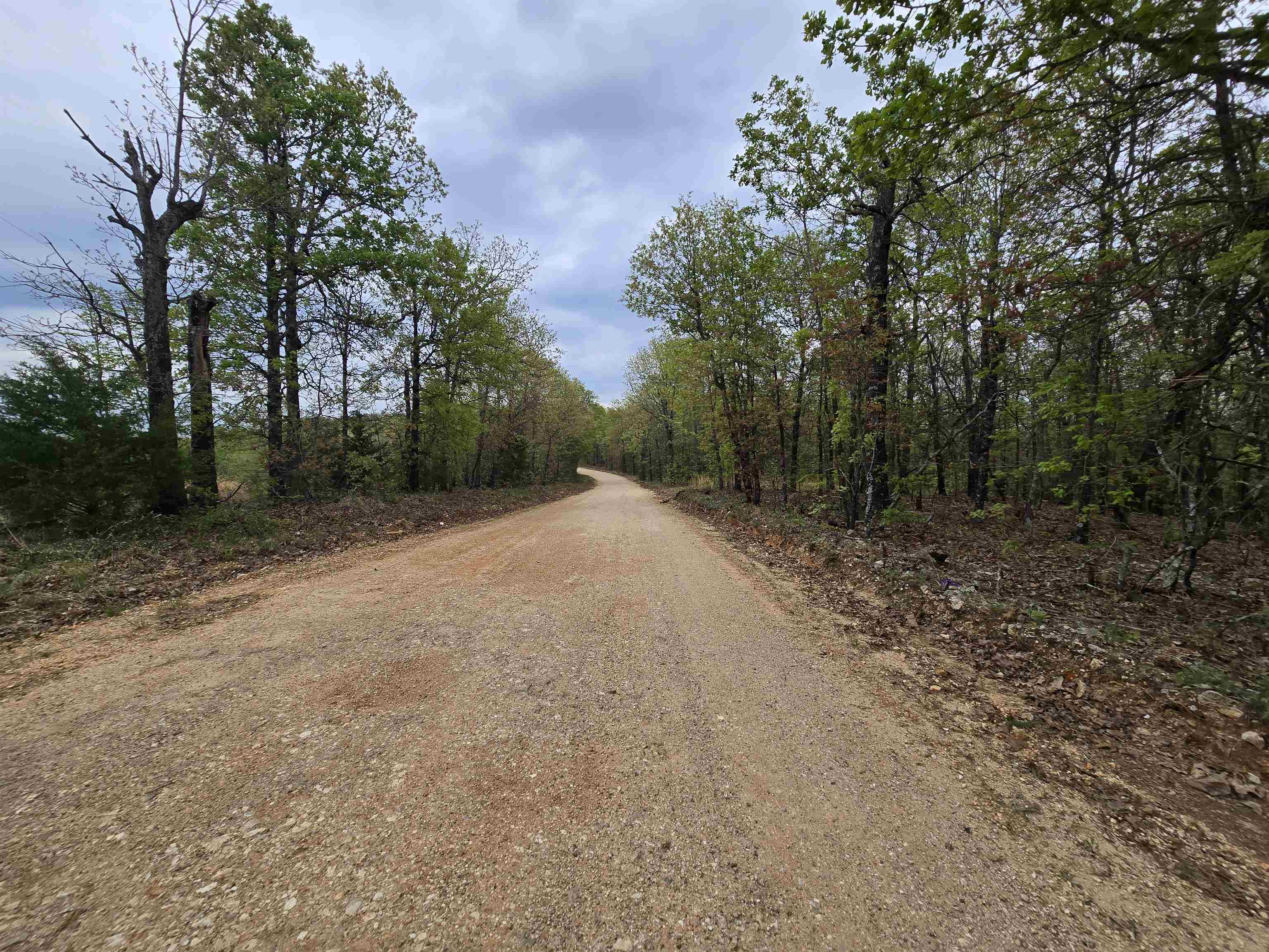 Moonlight Road Property Photo 7