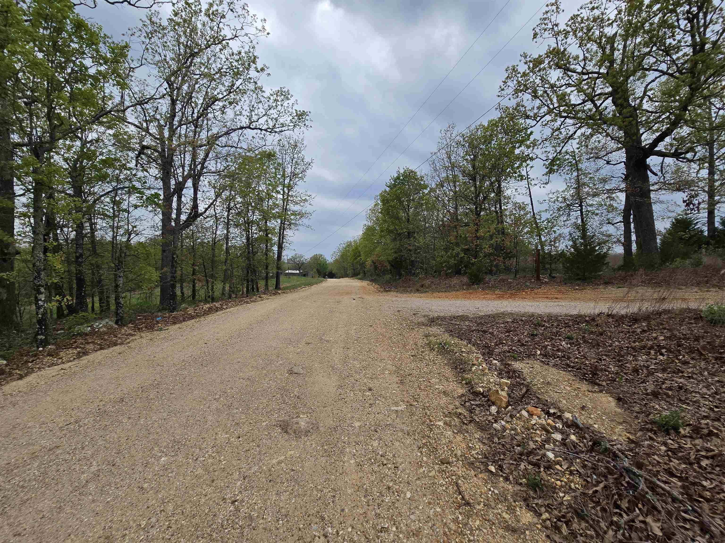 Moonlight Road Property Photo 8