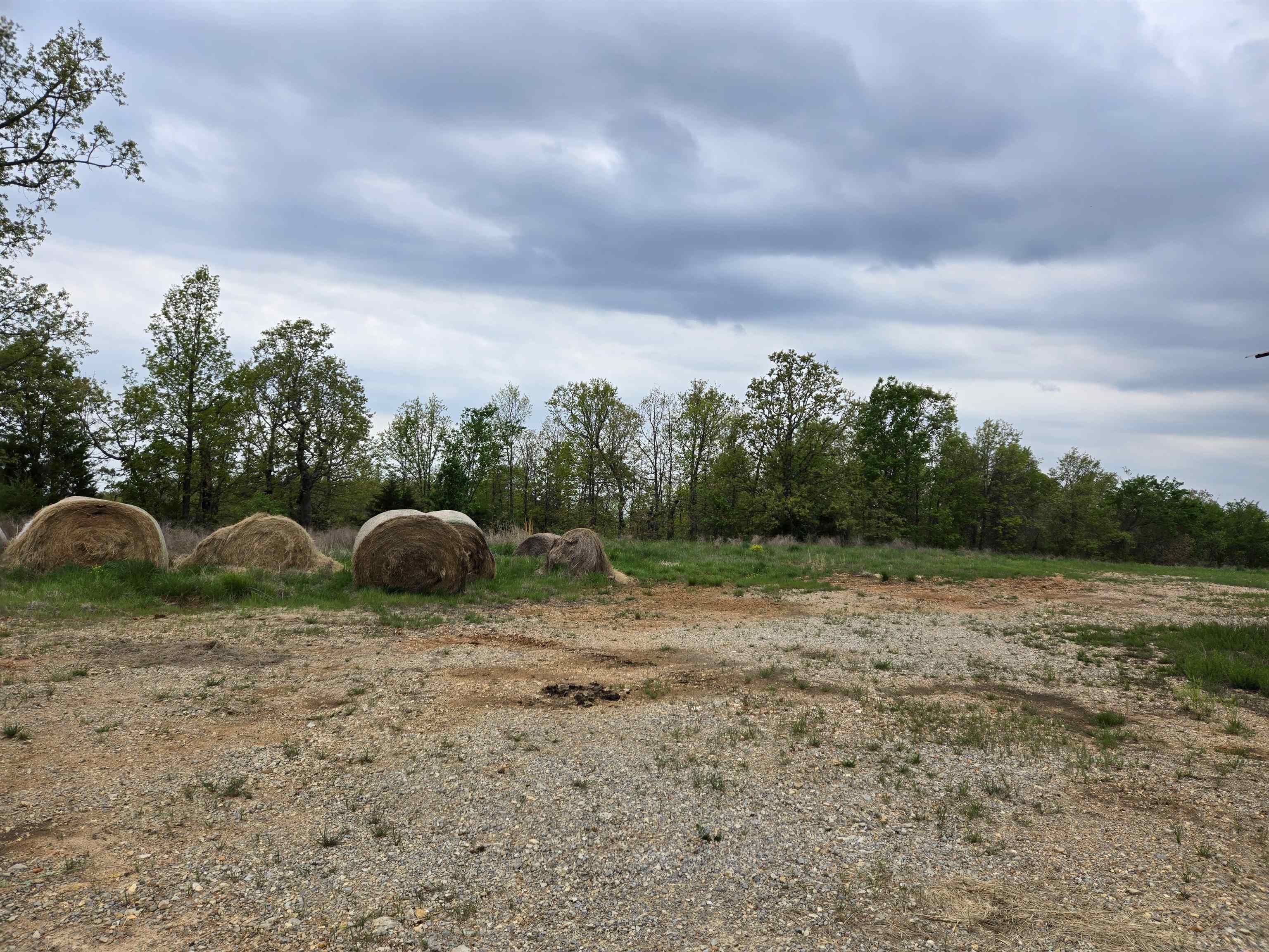 Moonlight Road Property Photo 13