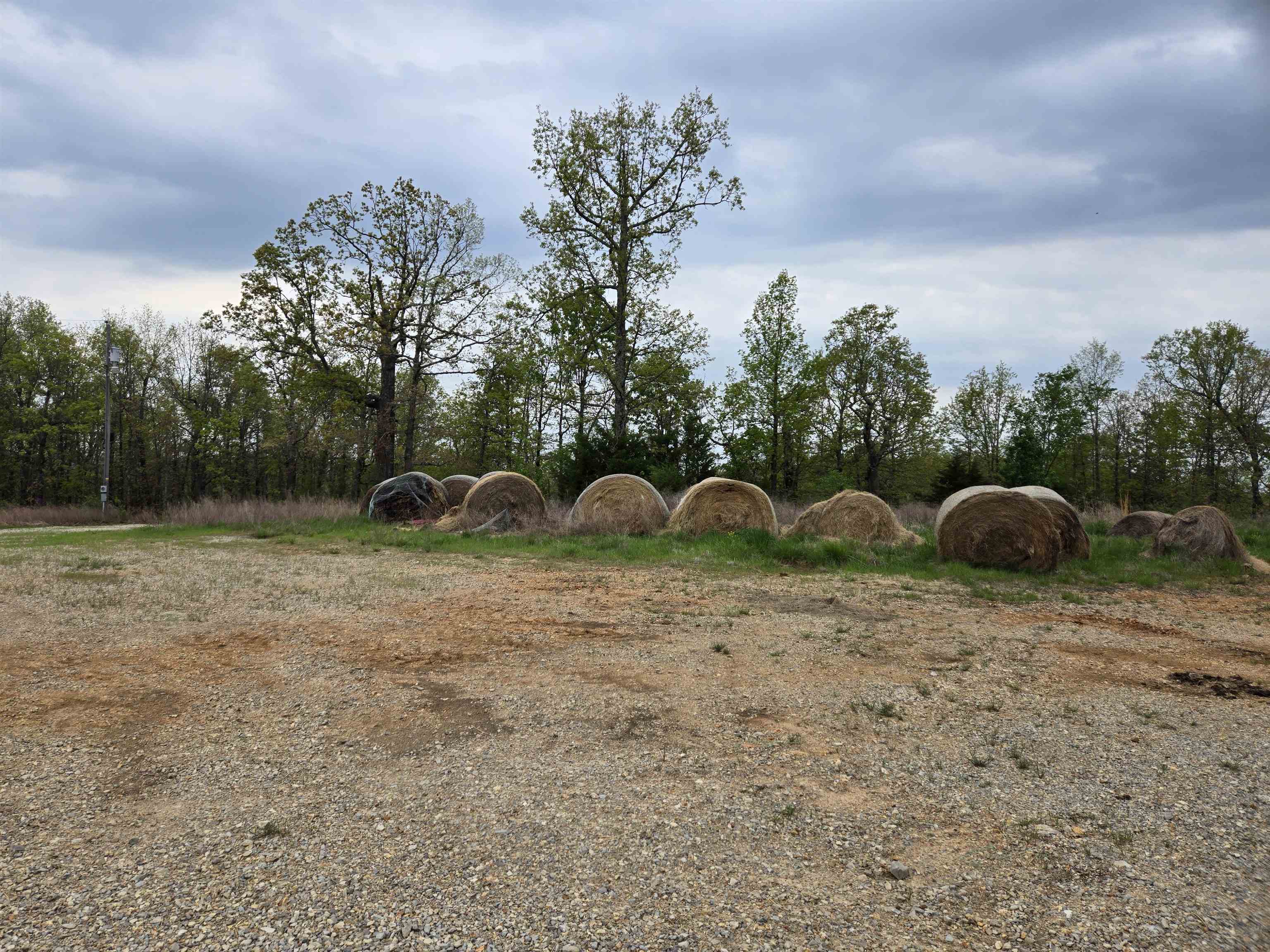 Moonlight Road Property Photo 14