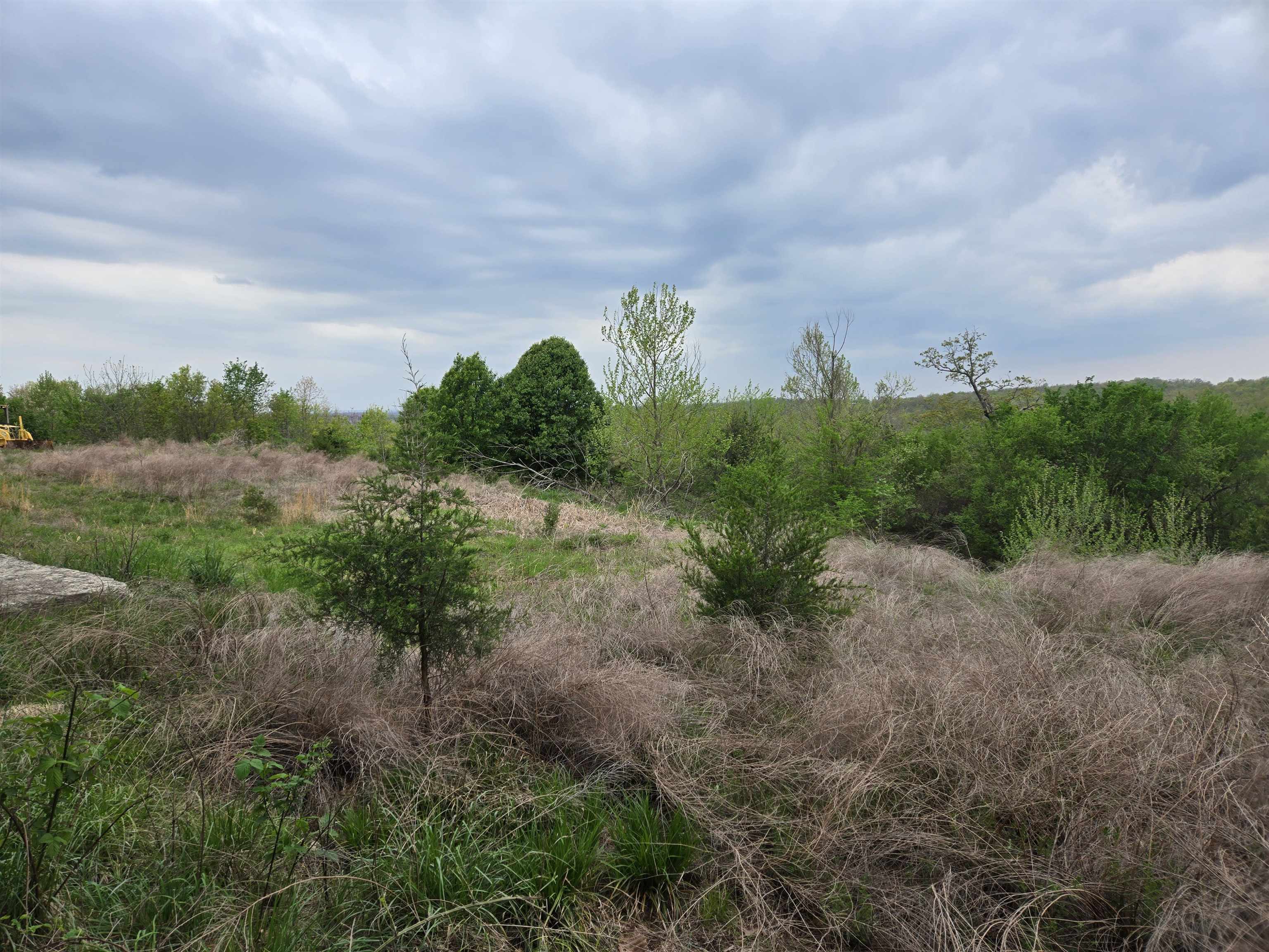 Moonlight Road Property Photo 21