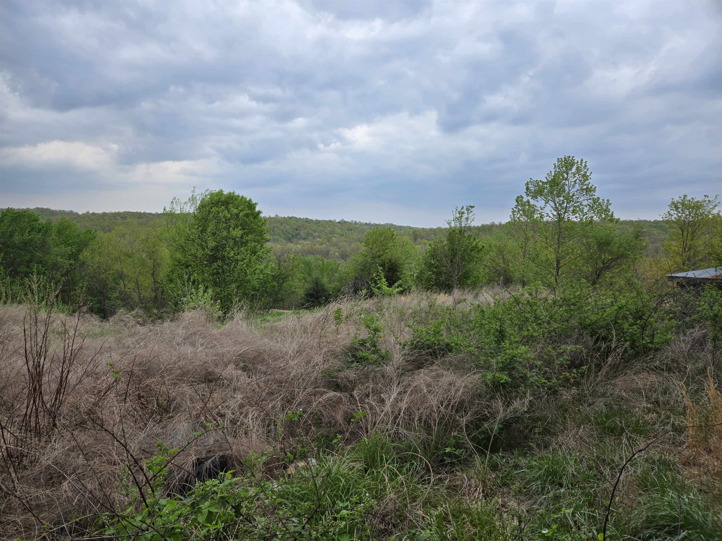 Moonlight Road Property Photo 23