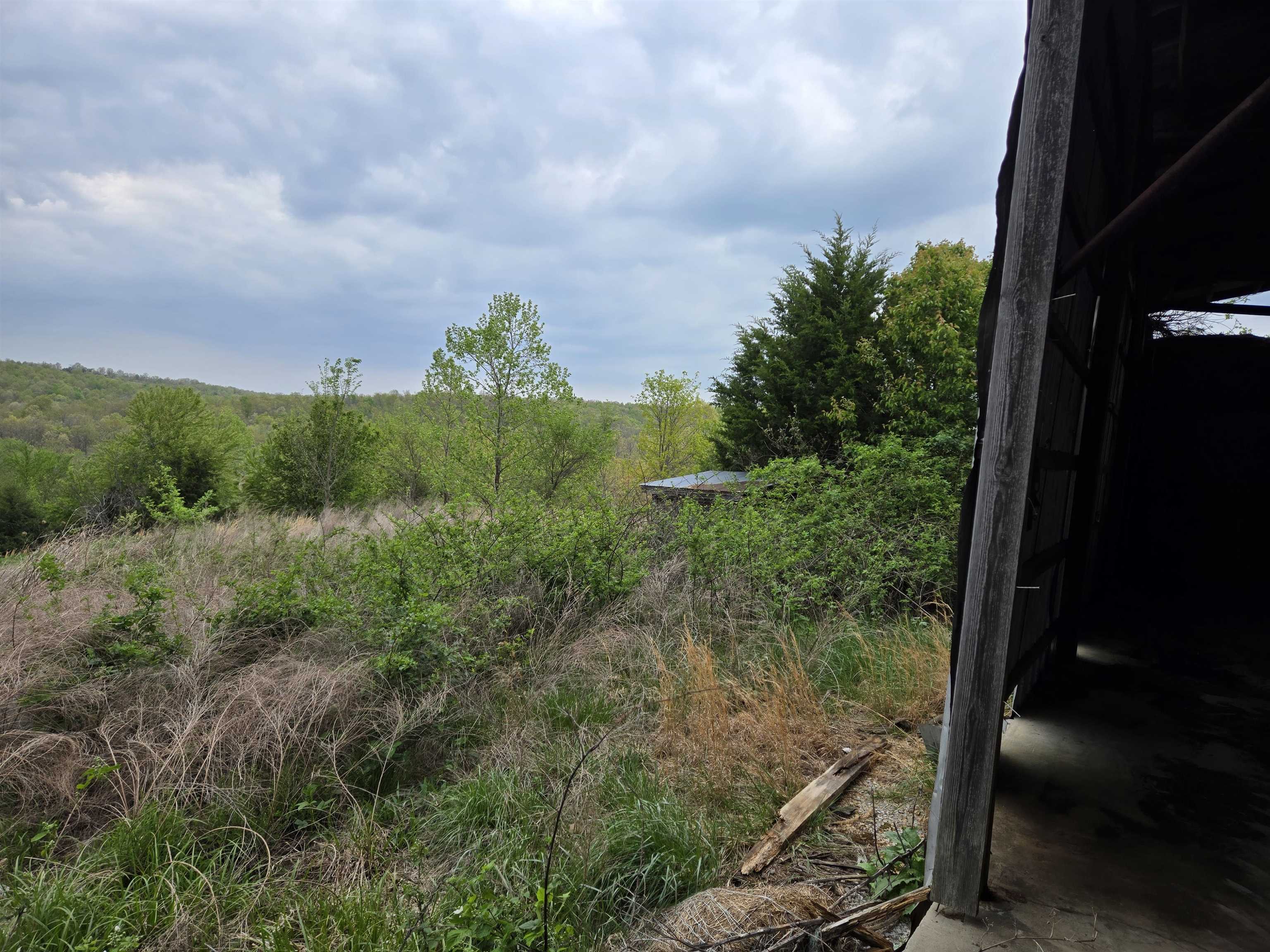 Moonlight Road Property Photo 24