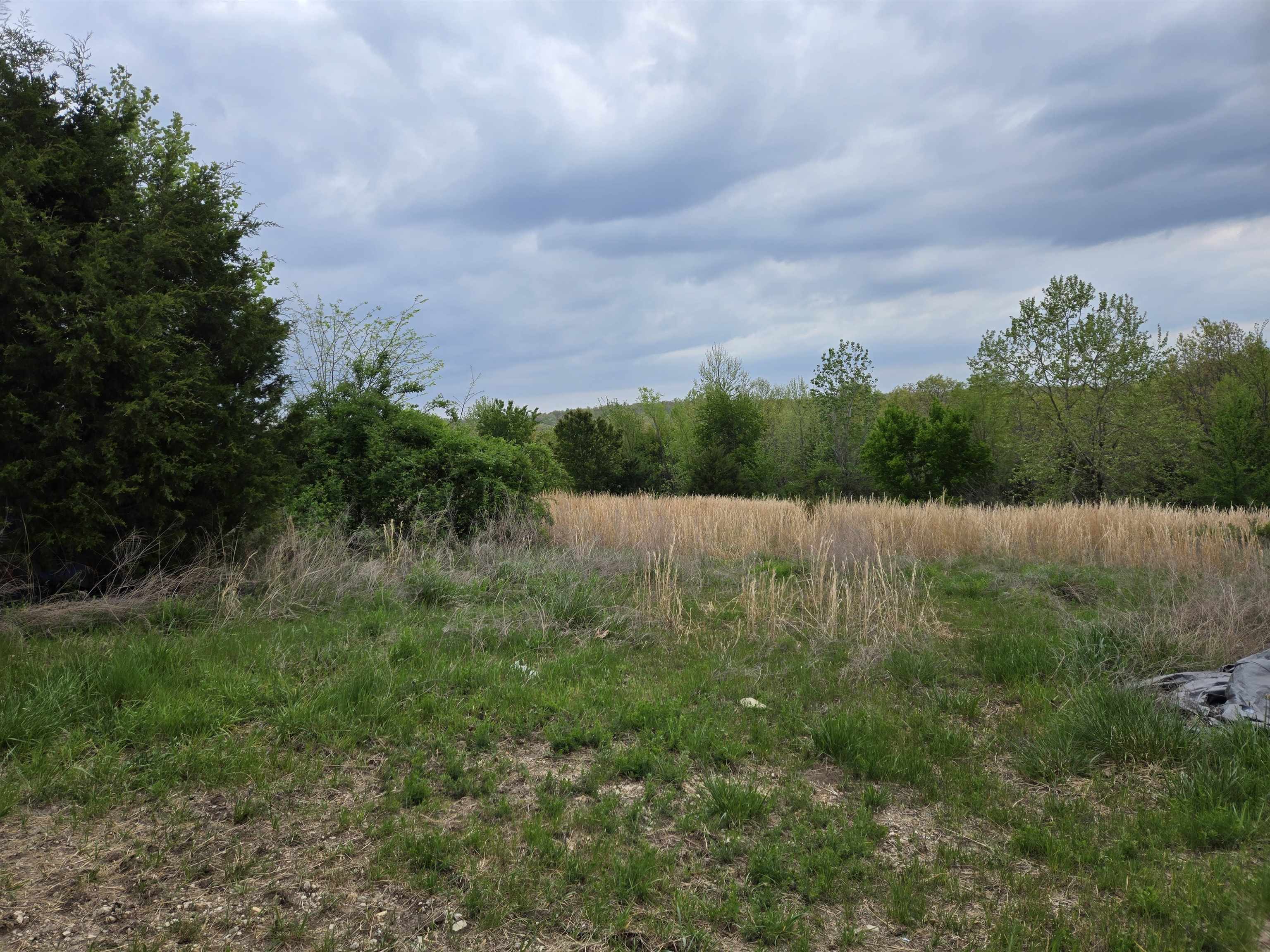 Moonlight Road Property Photo 26