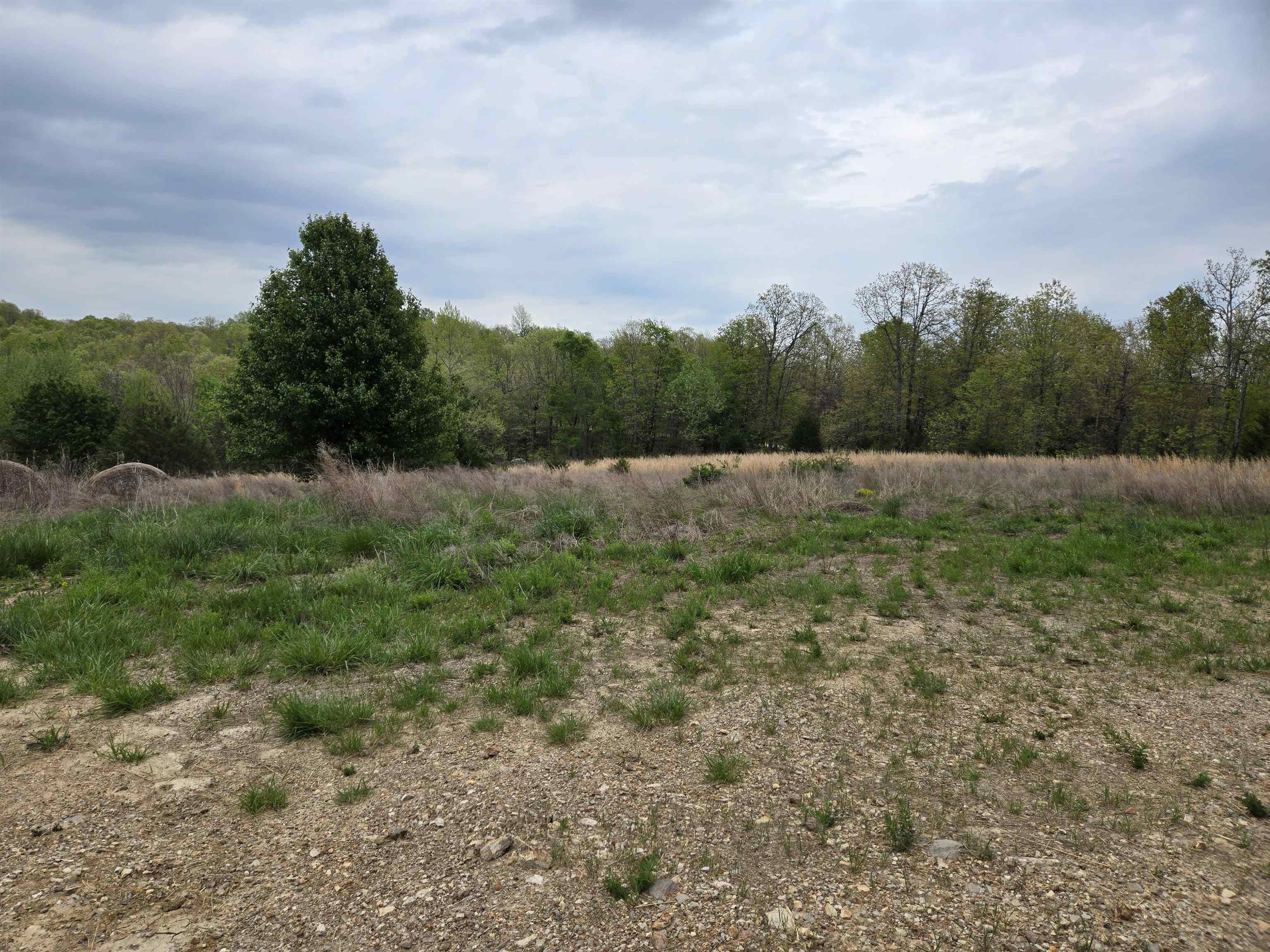 Moonlight Road Property Photo 27
