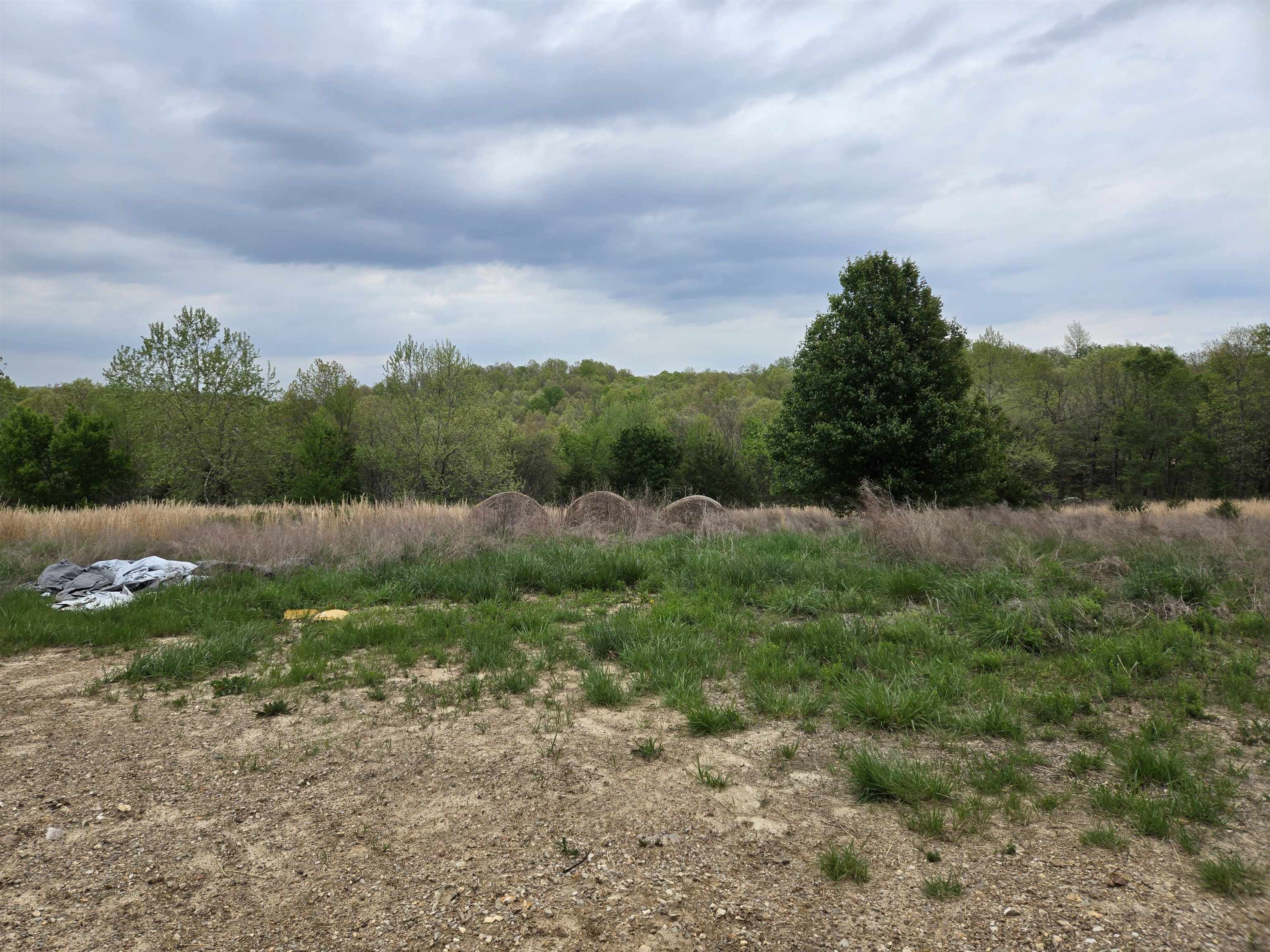 Moonlight Road Property Photo 28