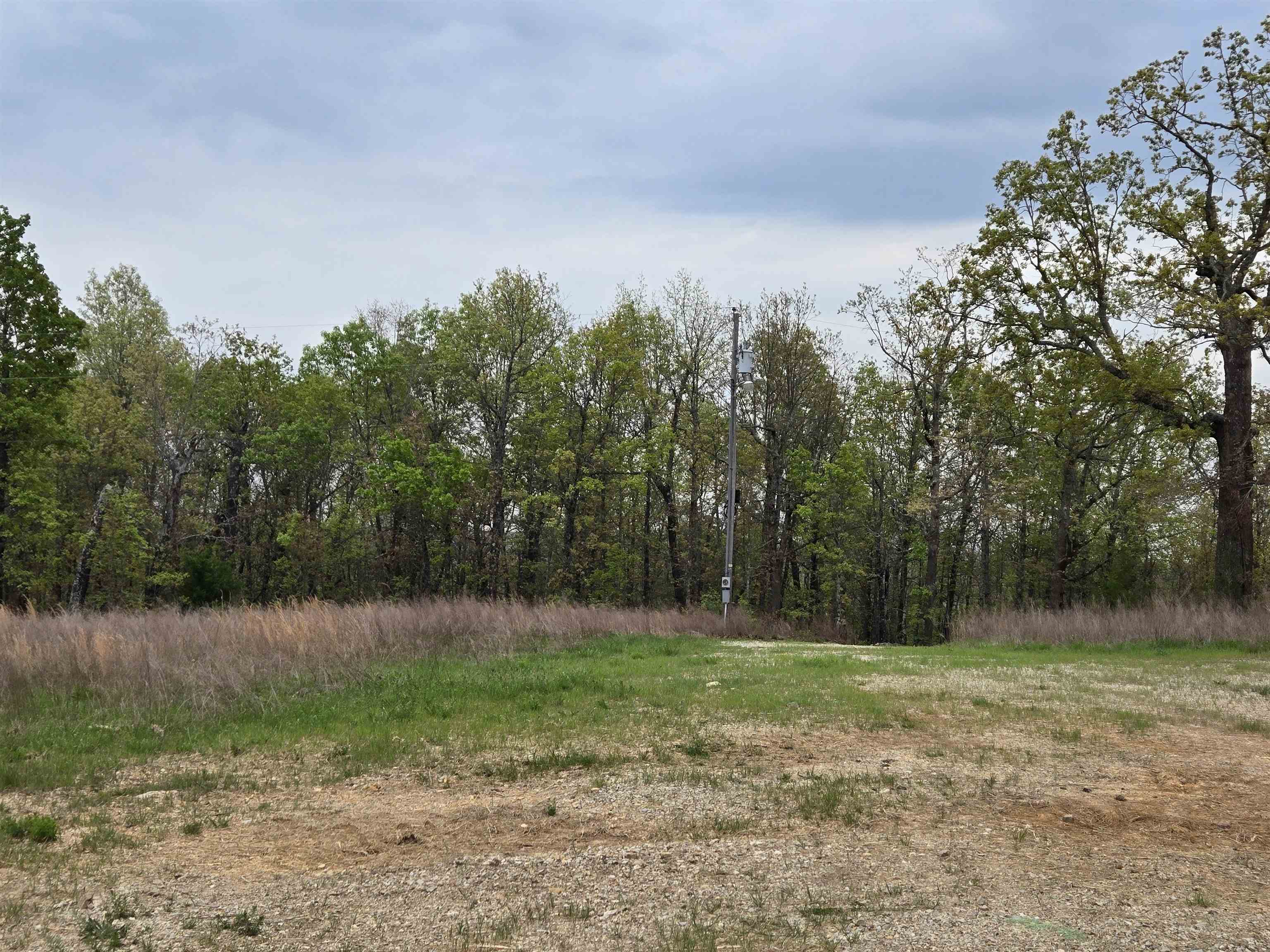 Moonlight Road Property Photo 29