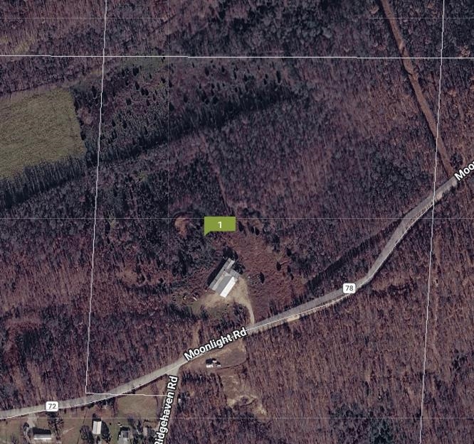 Moonlight Road Property Photo 33