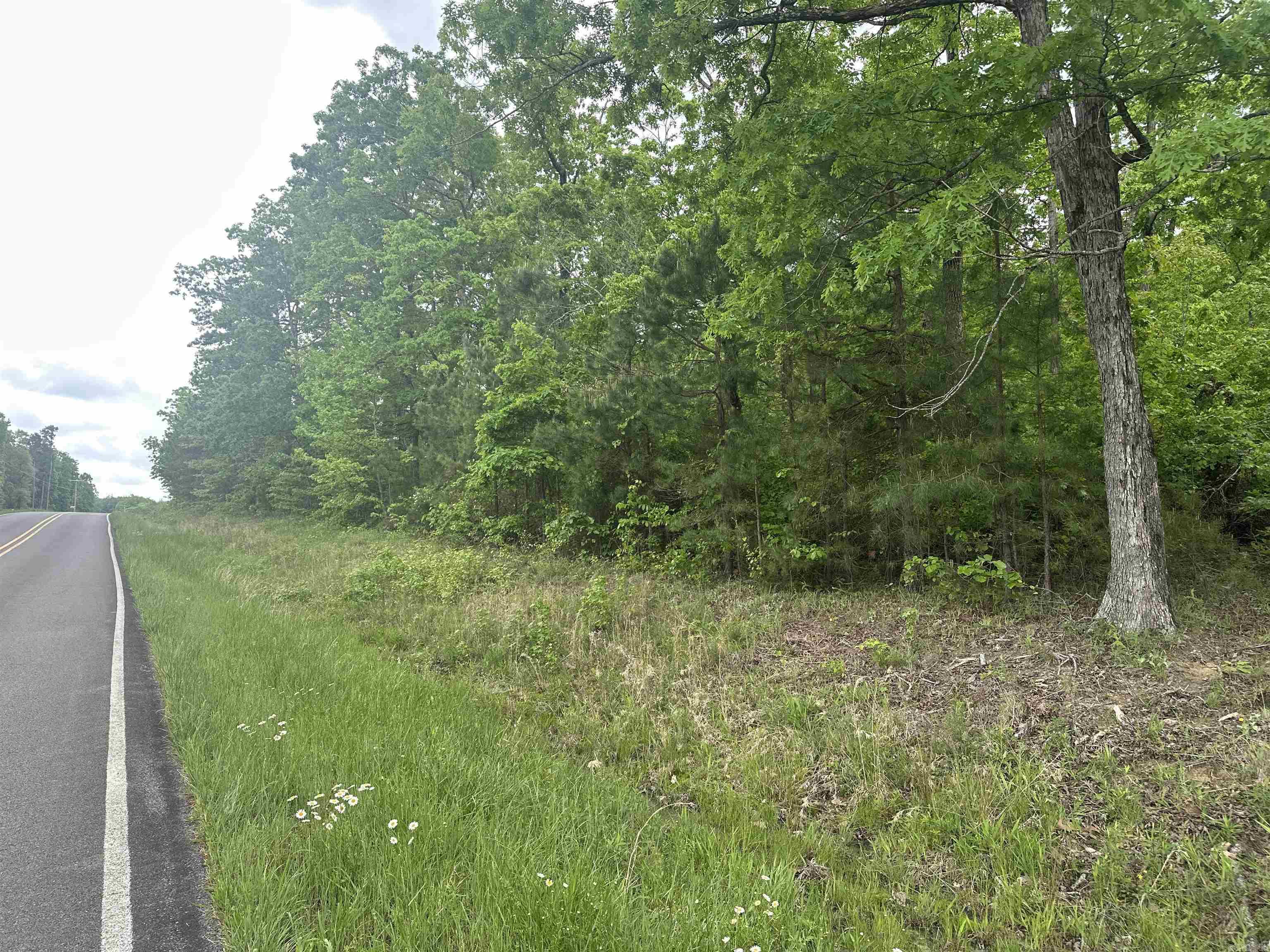 000 Holley Mtn Rd Property Photo 3