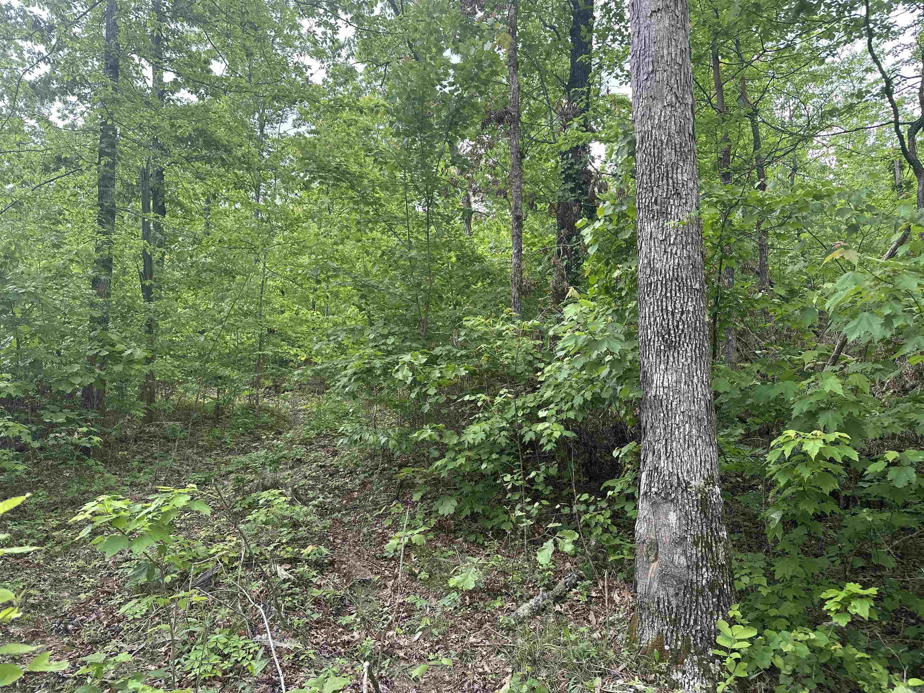 000 Holley Mtn Rd Property Photo 4