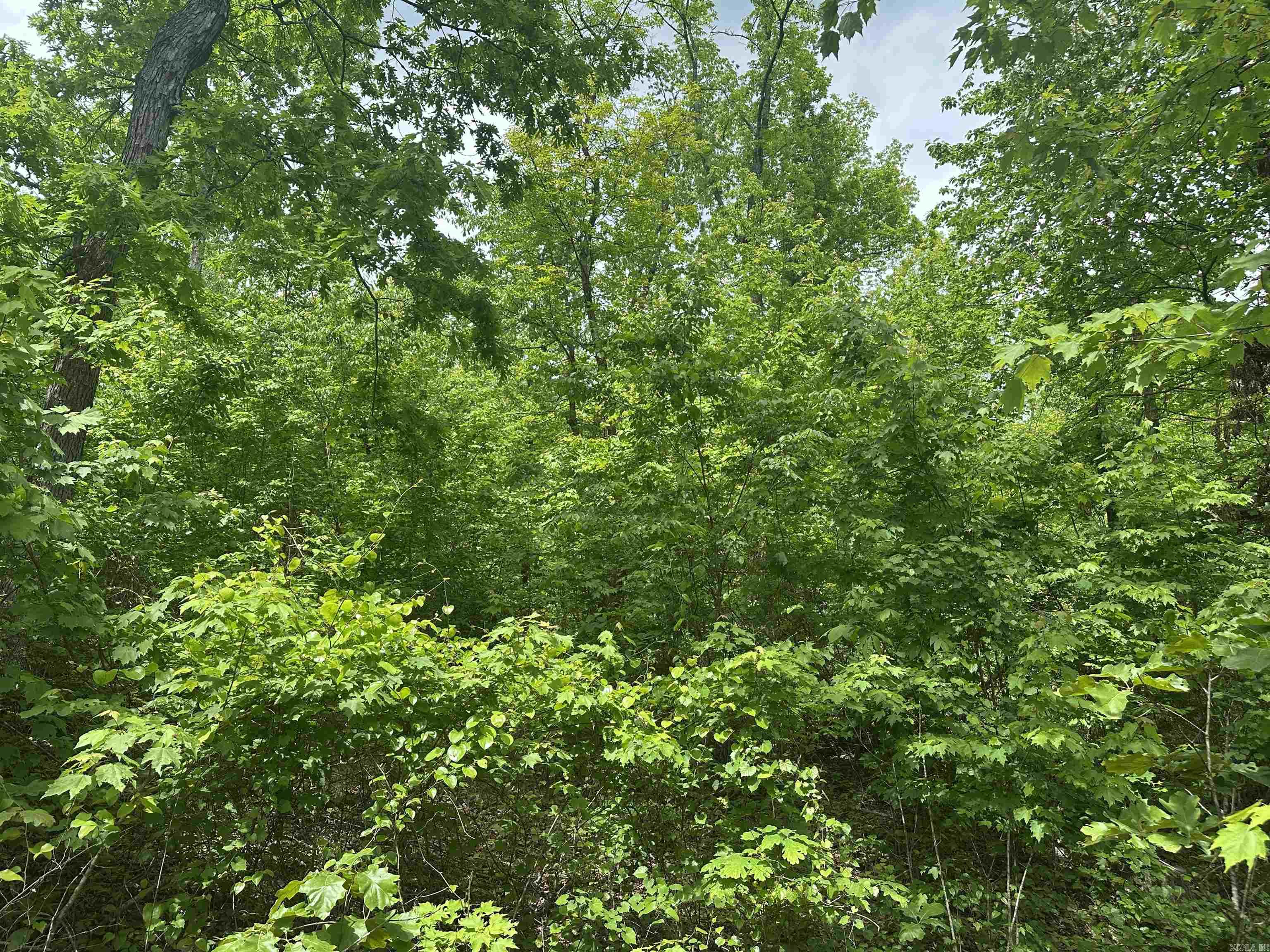 000 Holley Mtn Rd Property Photo 8