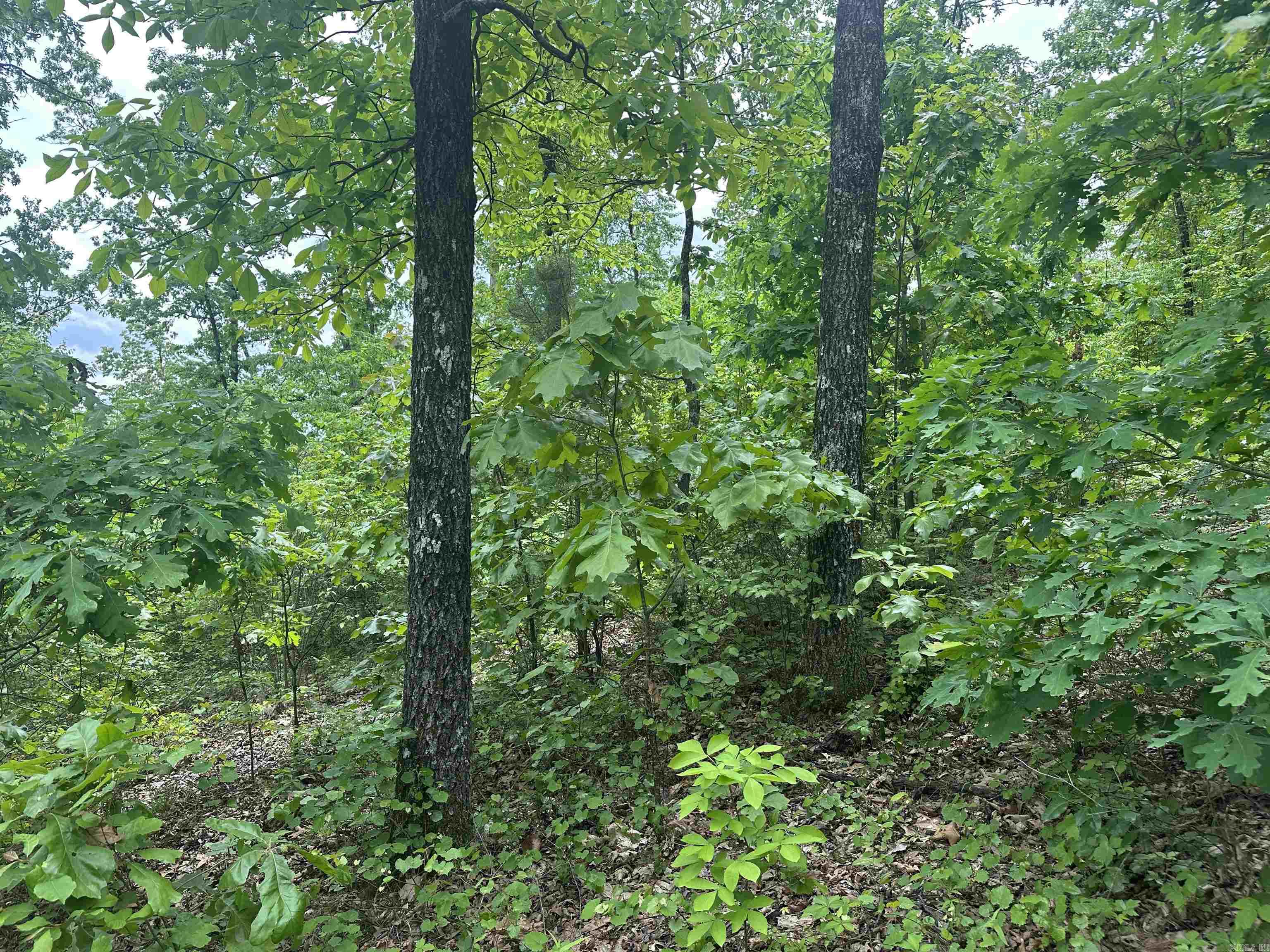 000 Holley Mtn Rd Property Photo 9