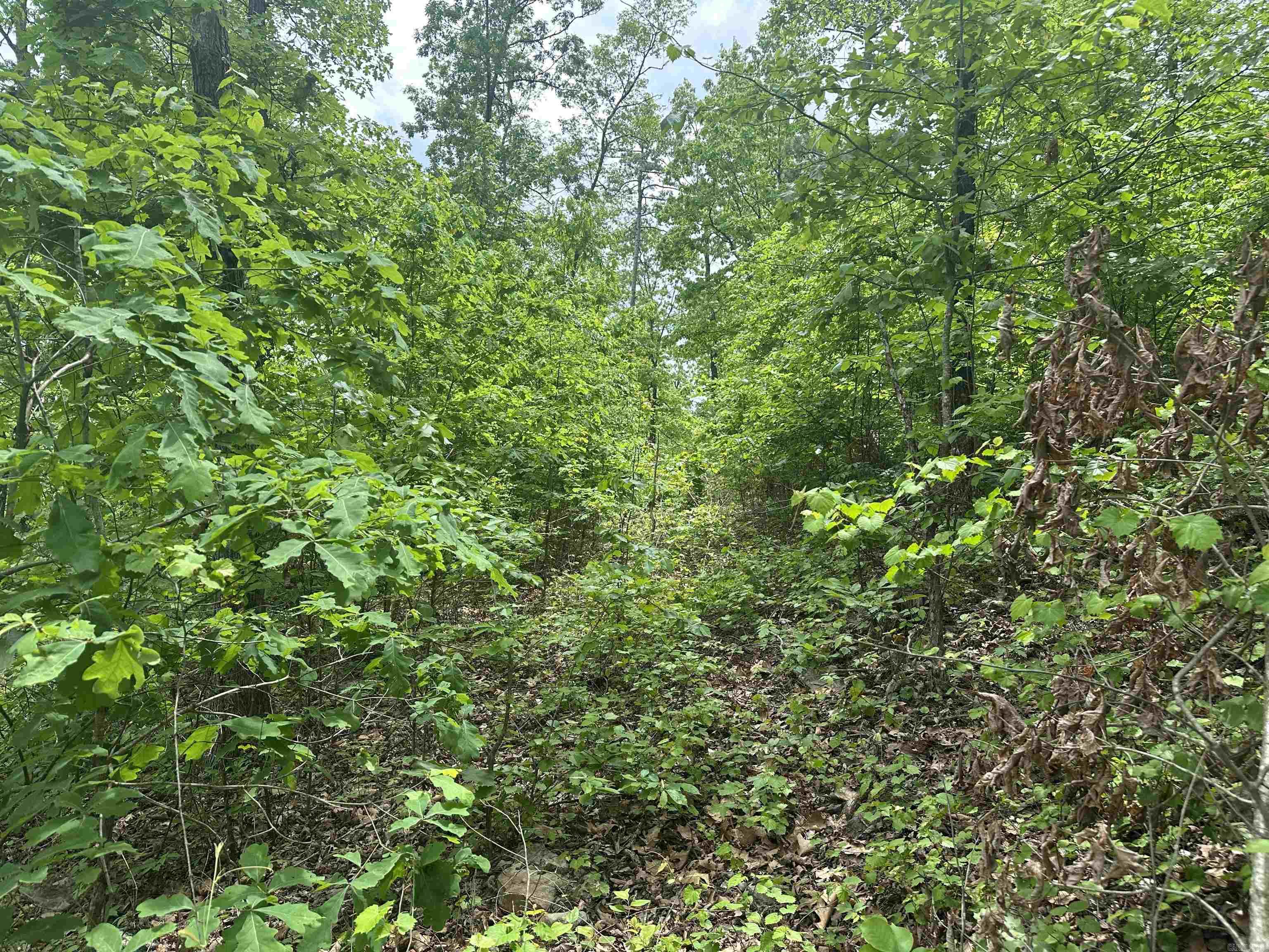 000 Holley Mtn Rd Property Photo 10