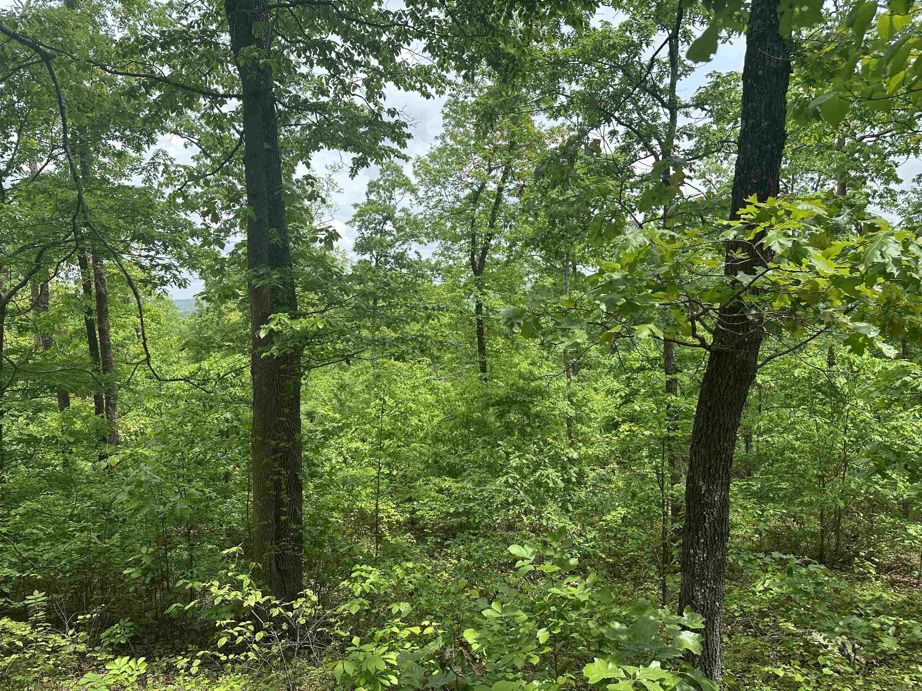000 Holley Mtn Rd Property Photo 11