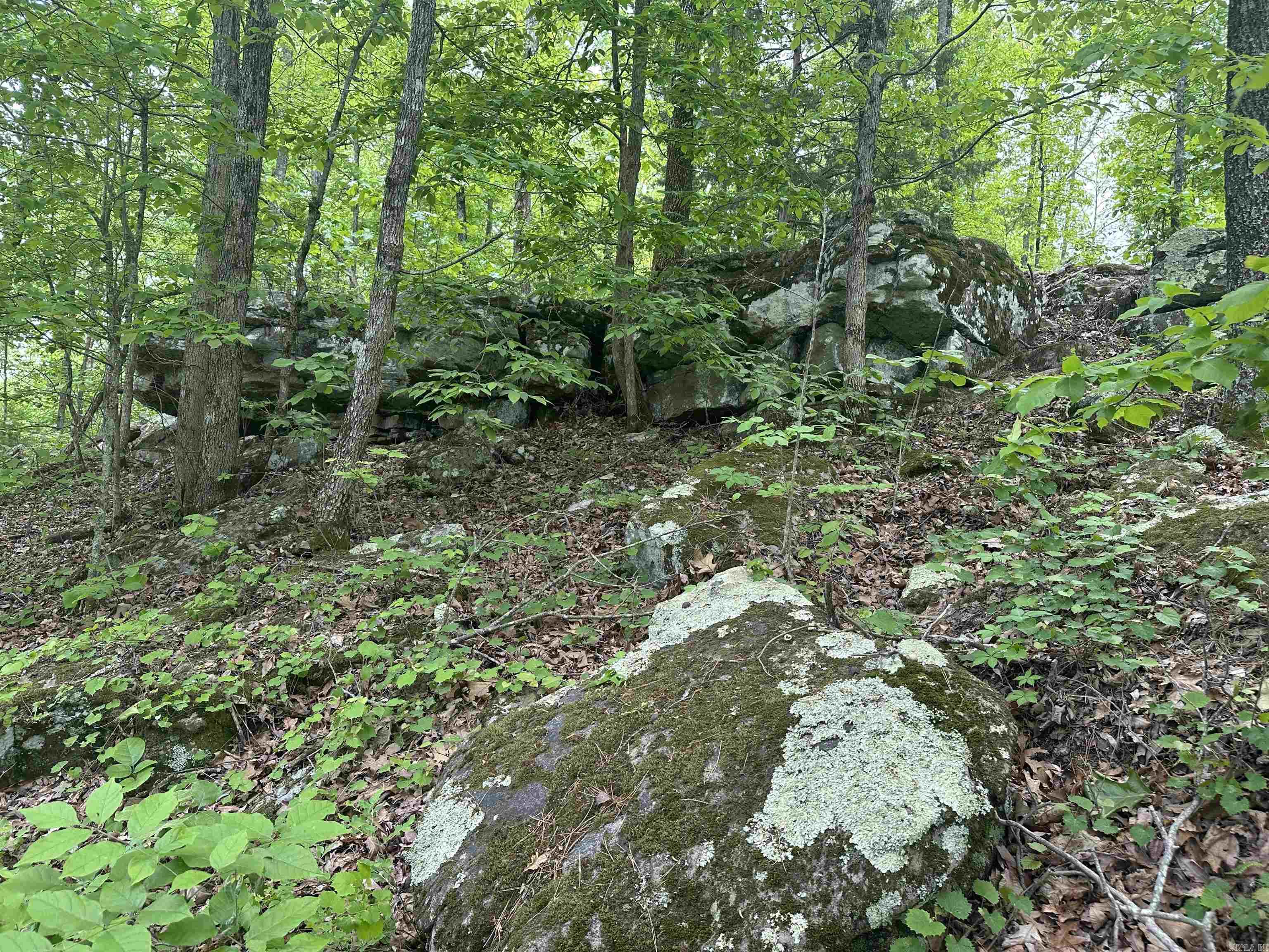 000 Holley Mtn Rd Property Photo 12