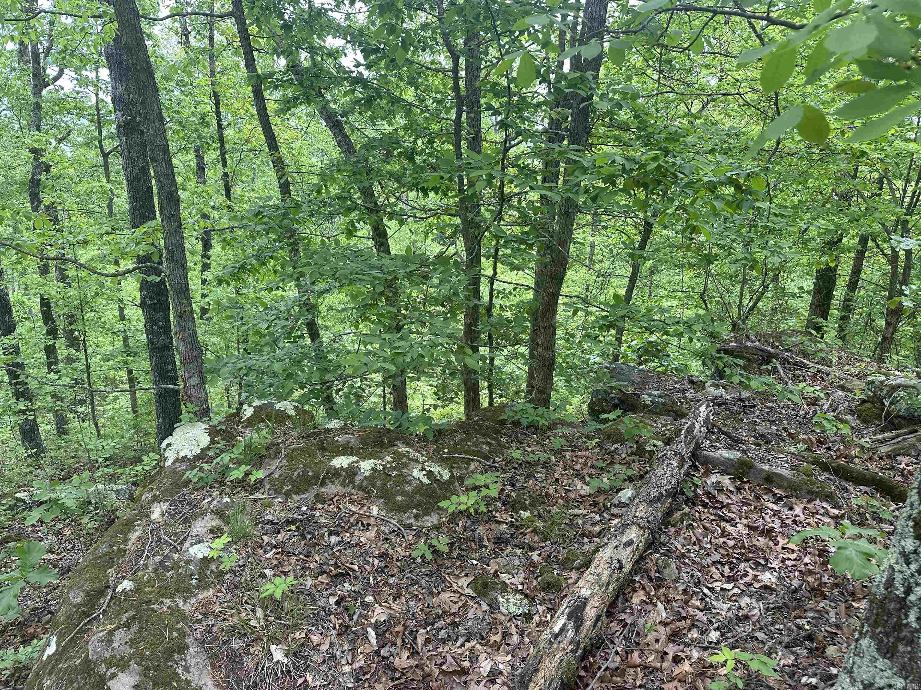 000 Holley Mtn Rd Property Photo 13