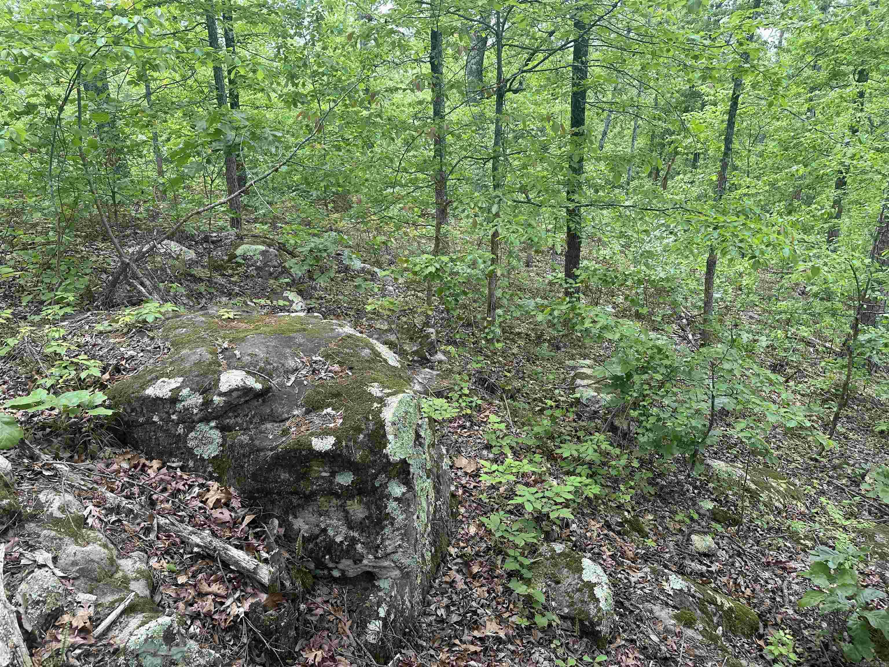 000 Holley Mtn Rd Property Photo 14