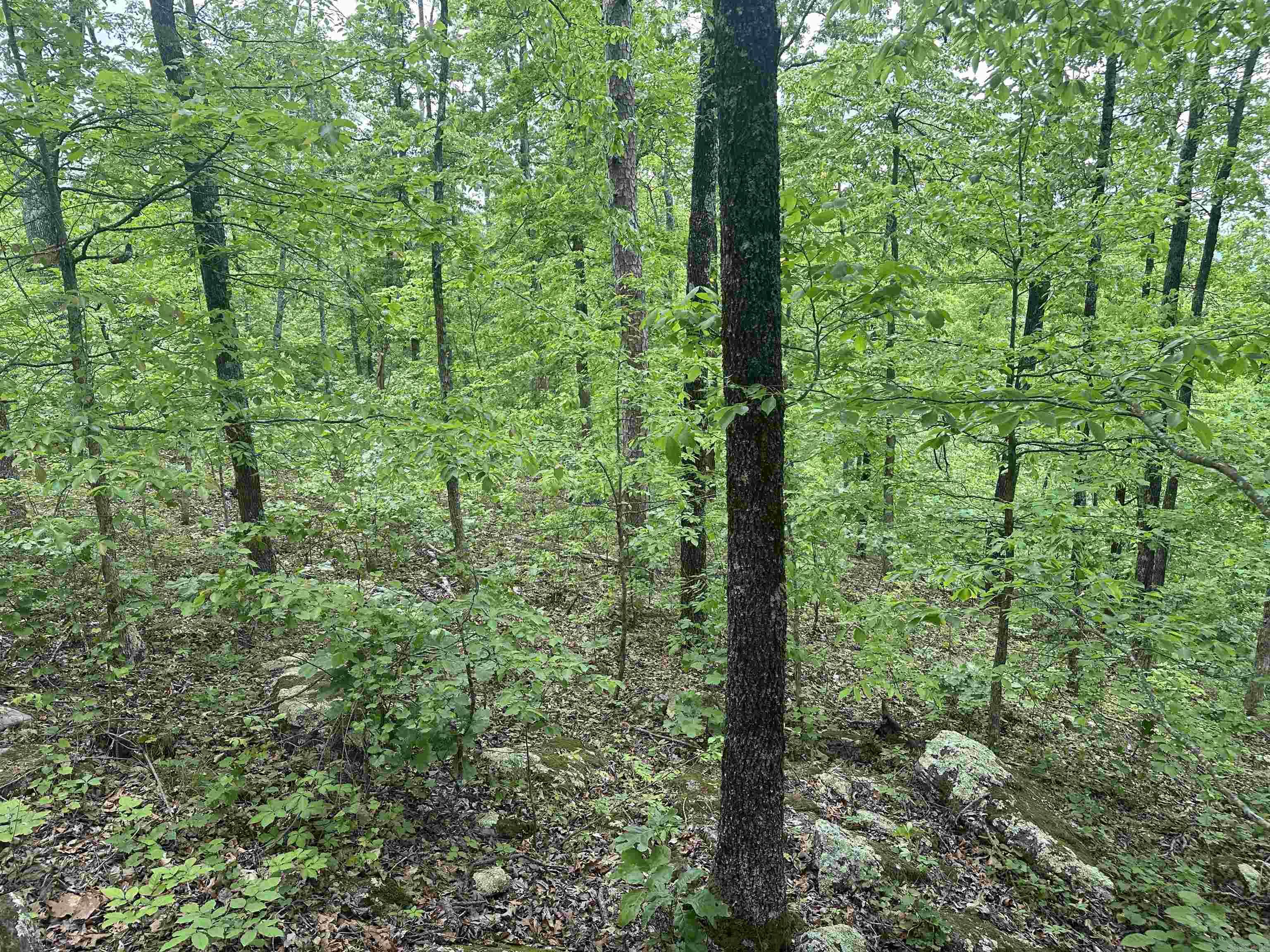 000 Holley Mtn Rd Property Photo 15