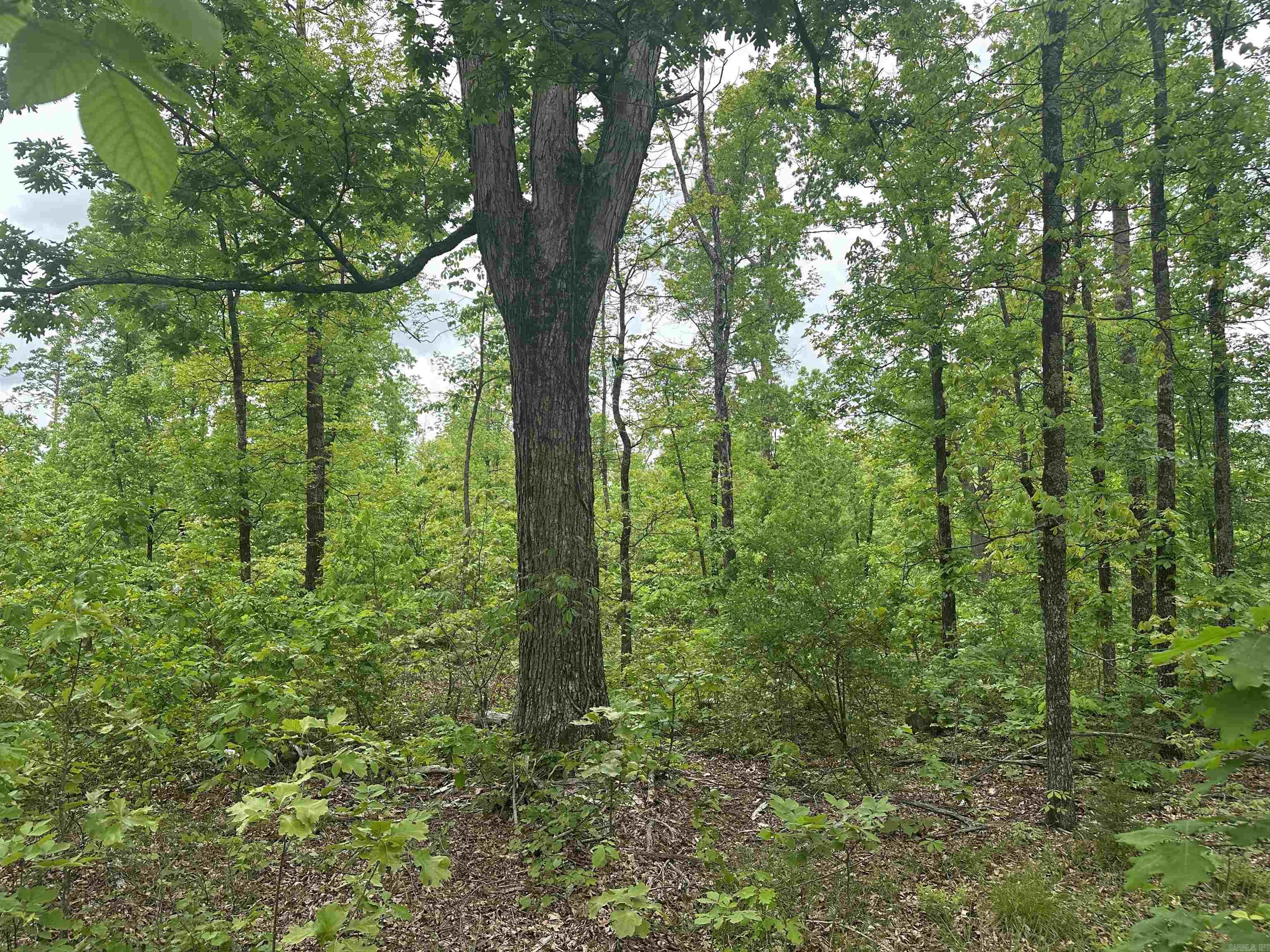 000 Holley Mtn Rd Property Photo 16