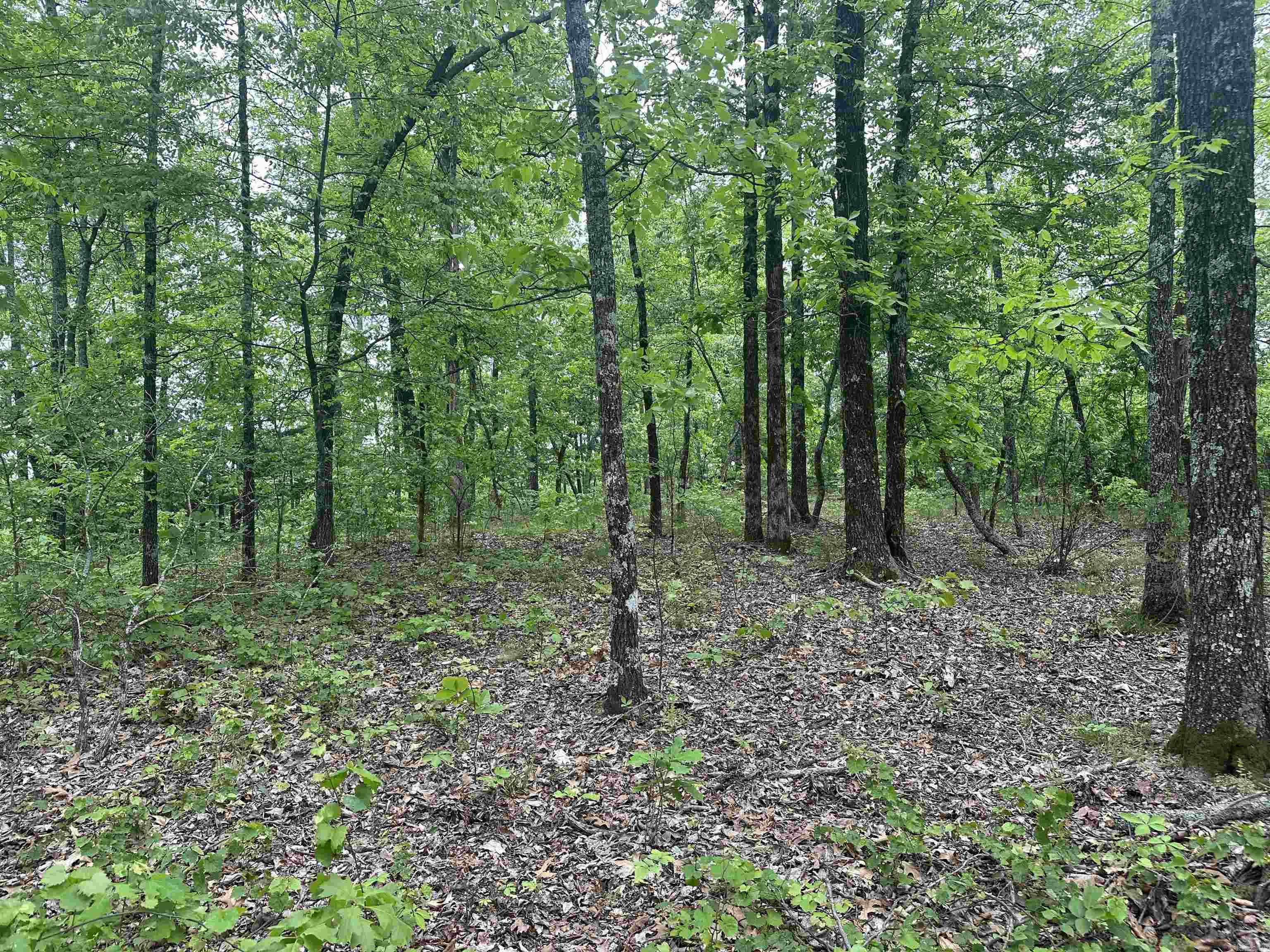 000 Holley Mtn Rd Property Photo 17