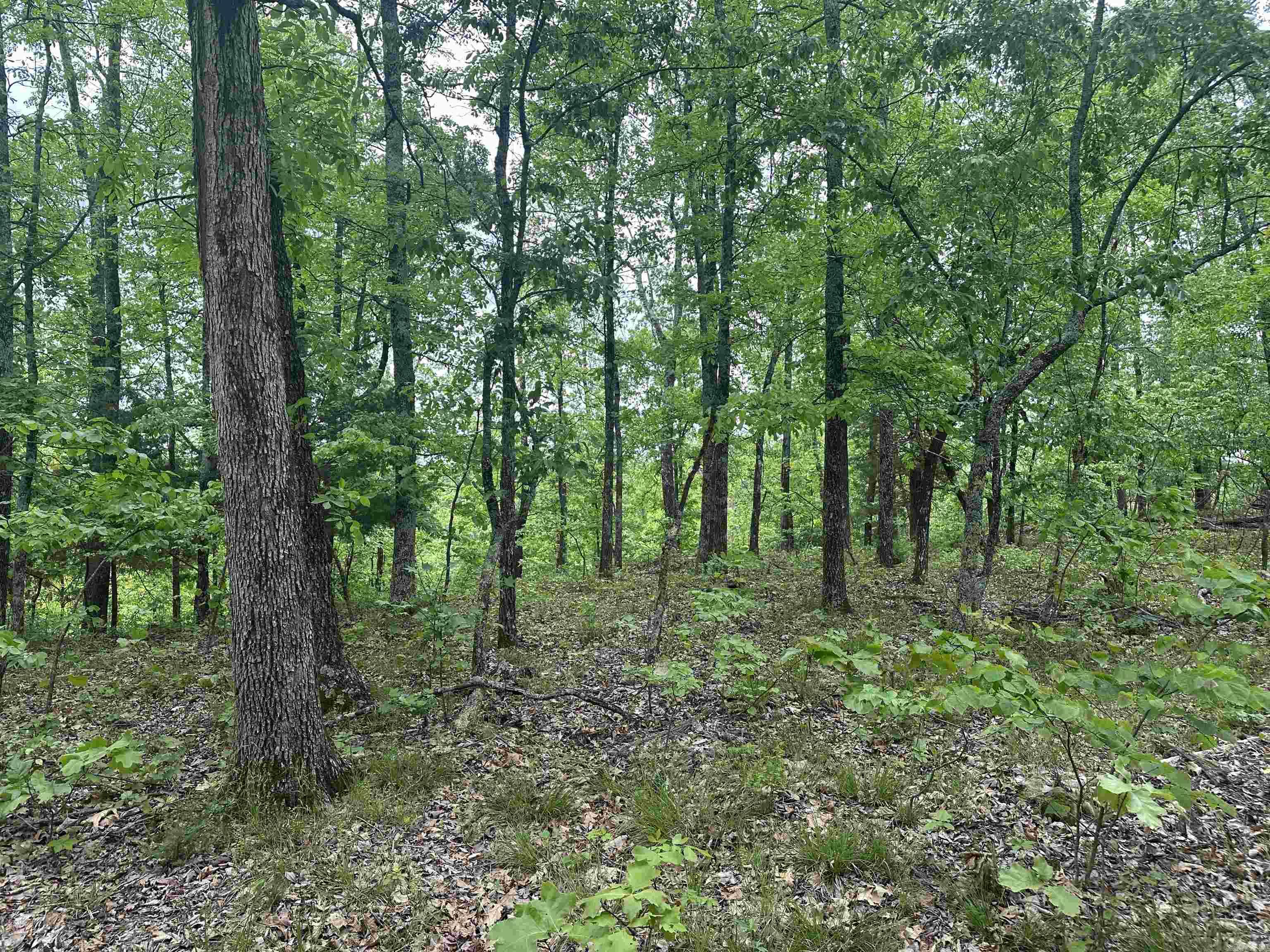 000 Holley Mtn Rd Property Photo 18