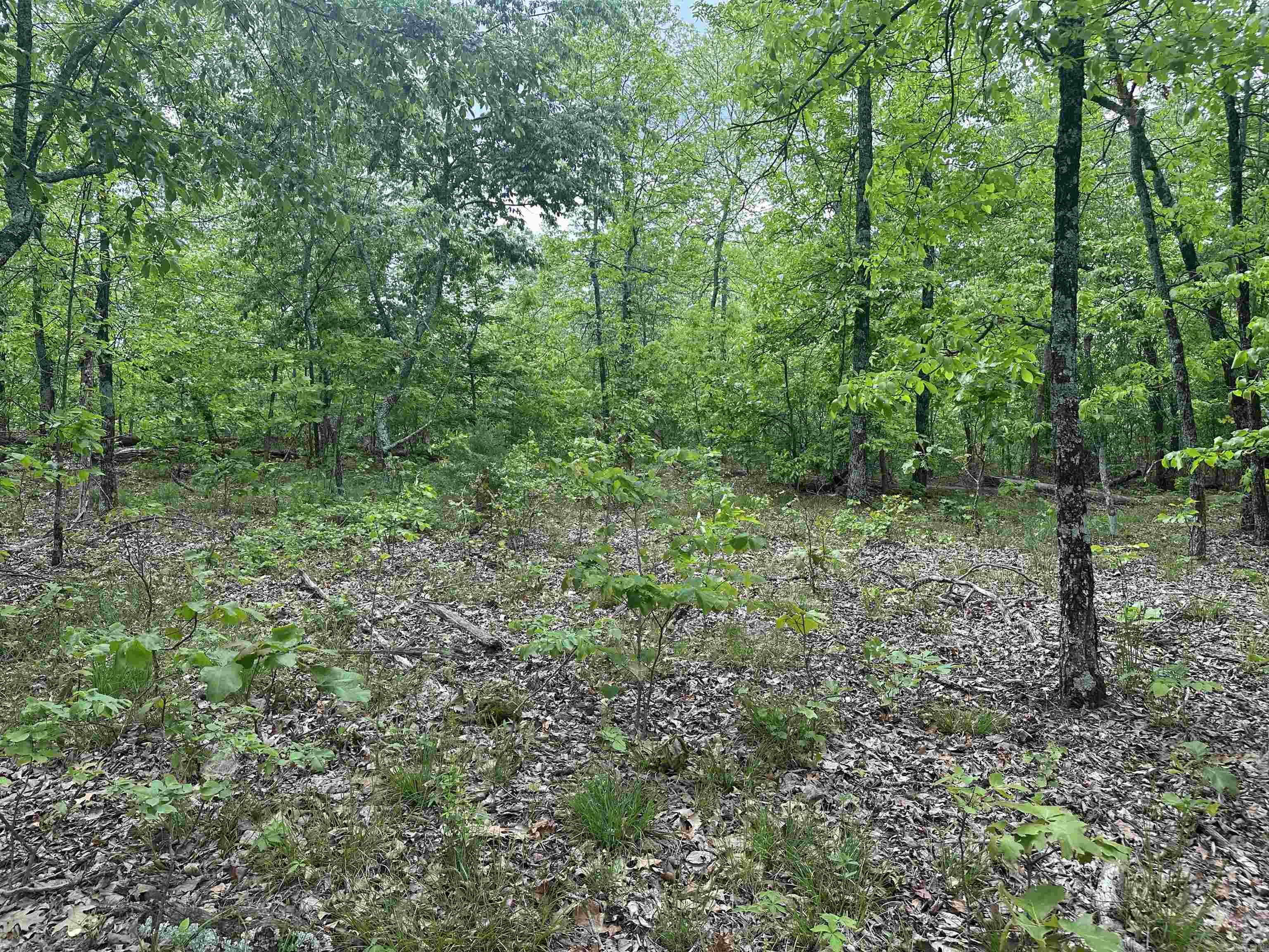 000 Holley Mtn Rd Property Photo 19