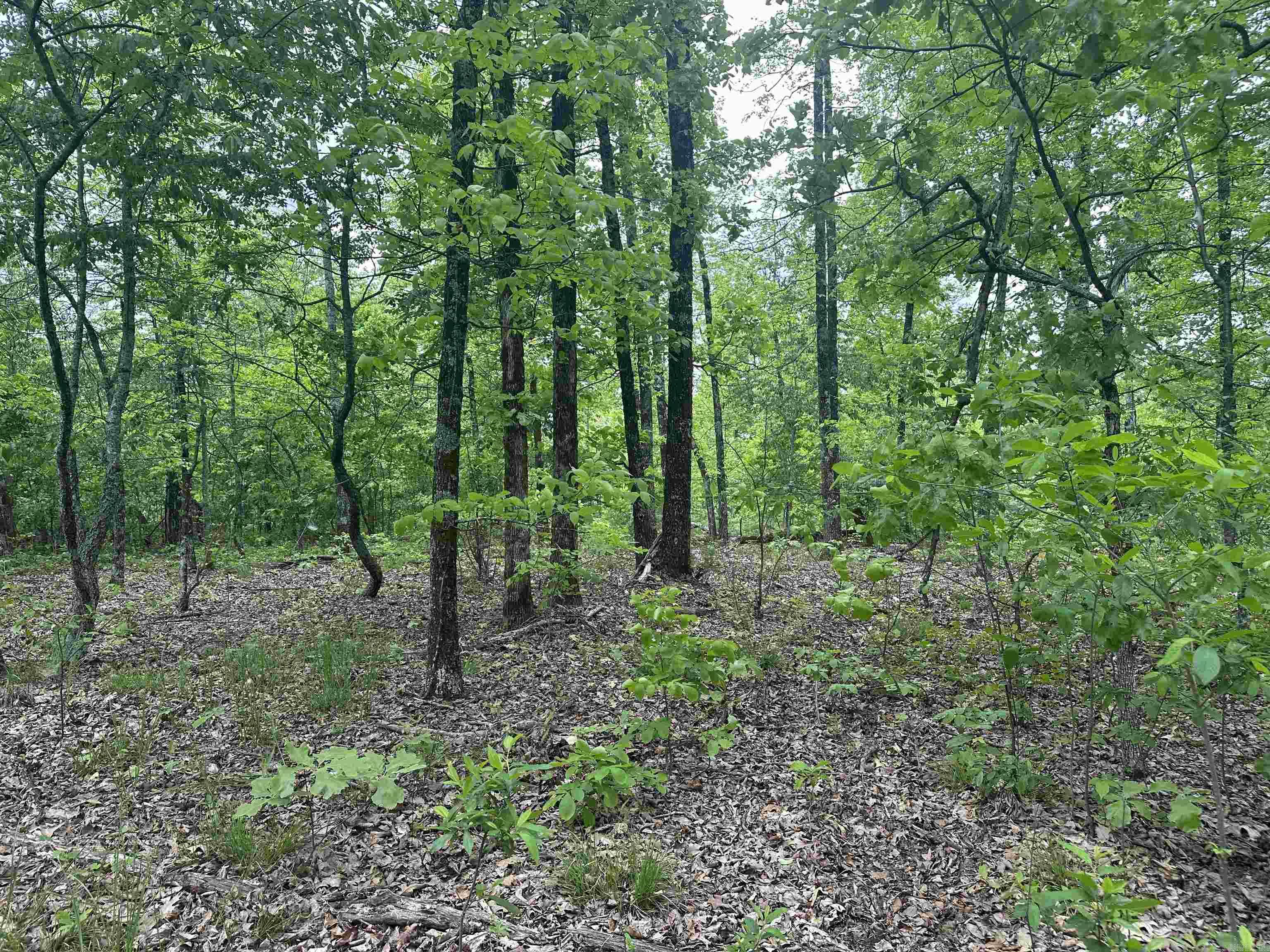 000 Holley Mtn Rd Property Photo 20