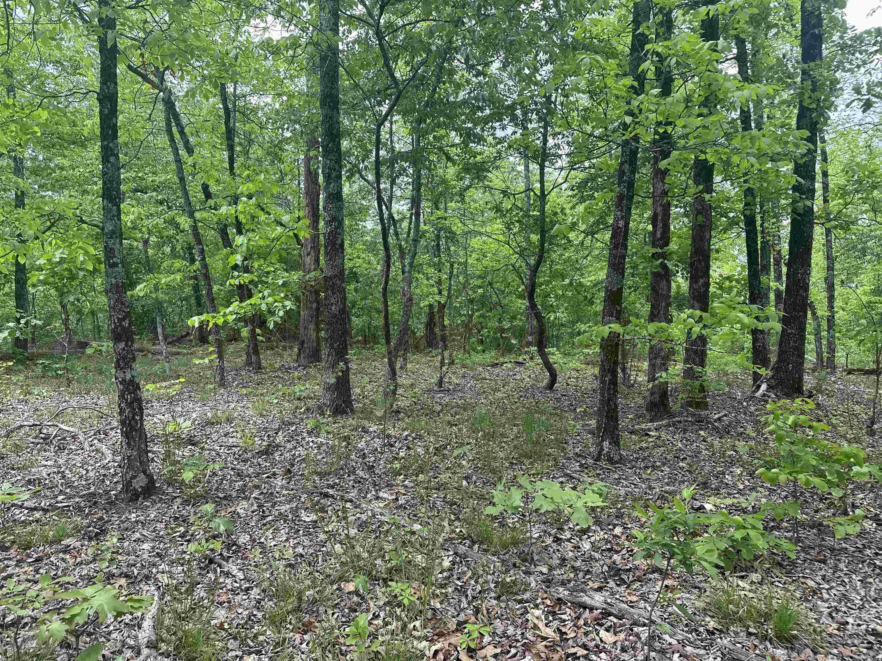 000 Holley Mtn Rd Property Photo 21
