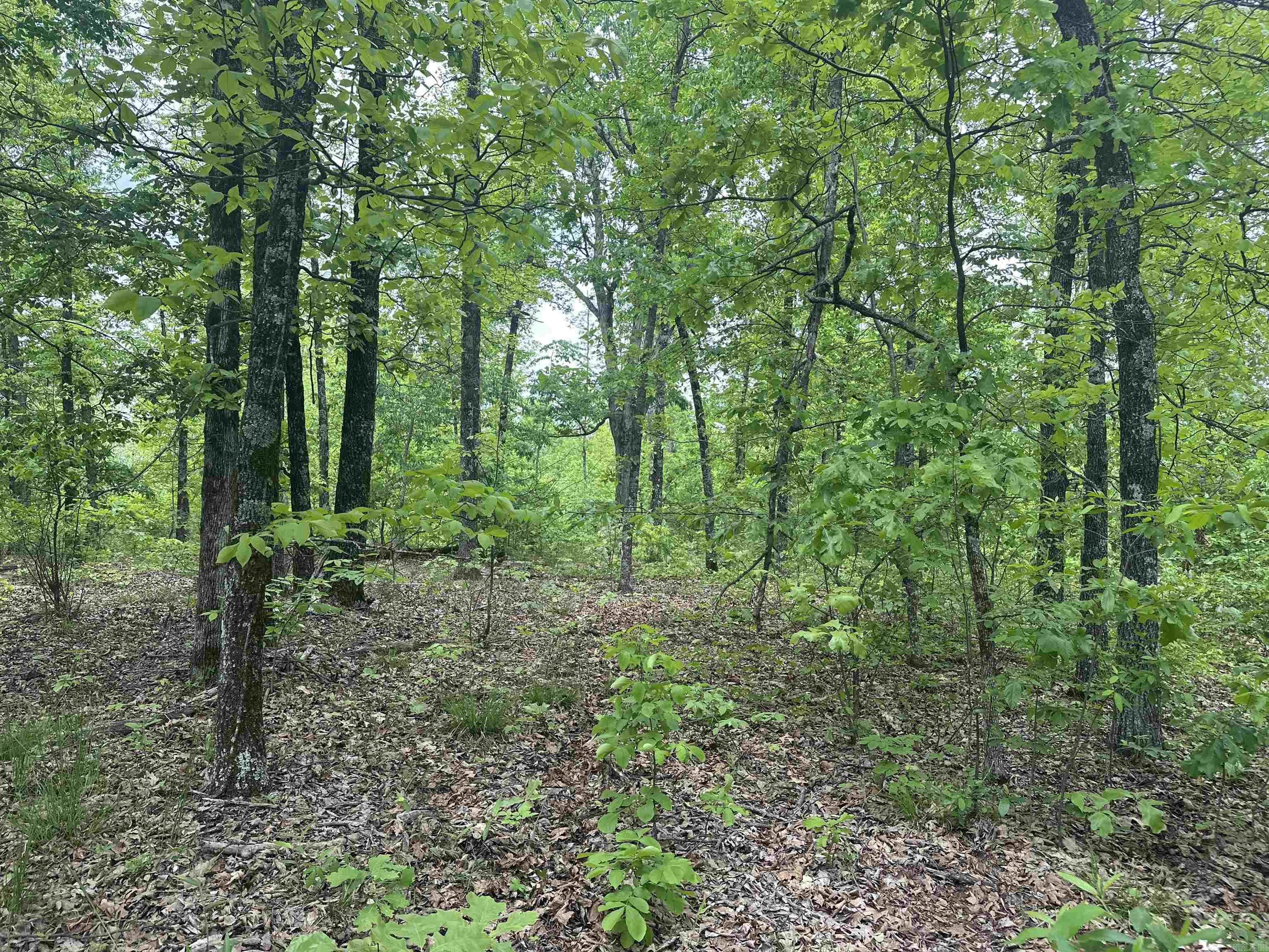 000 Holley Mtn Rd Property Photo 22