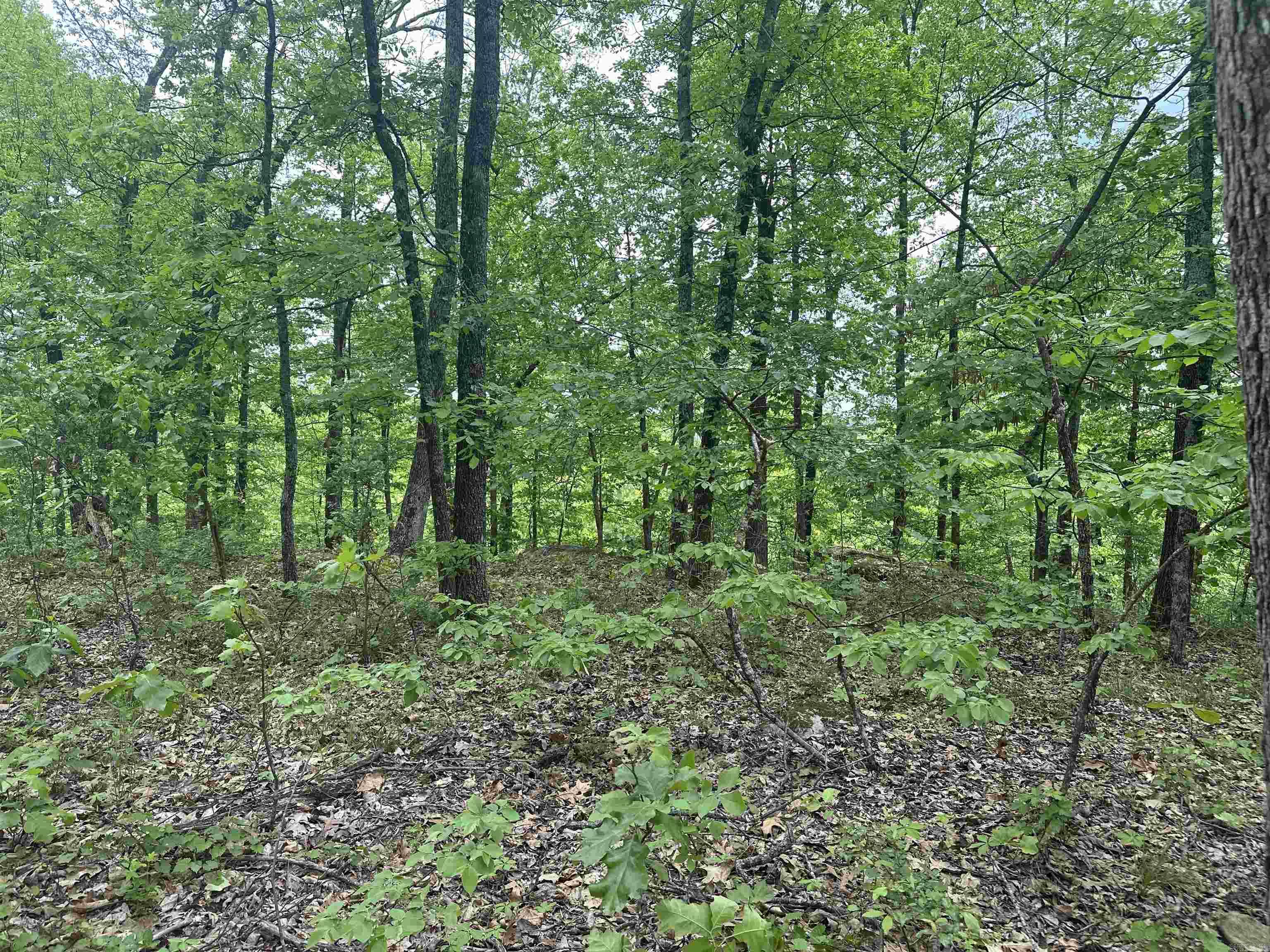 000 Holley Mtn Rd Property Photo 23