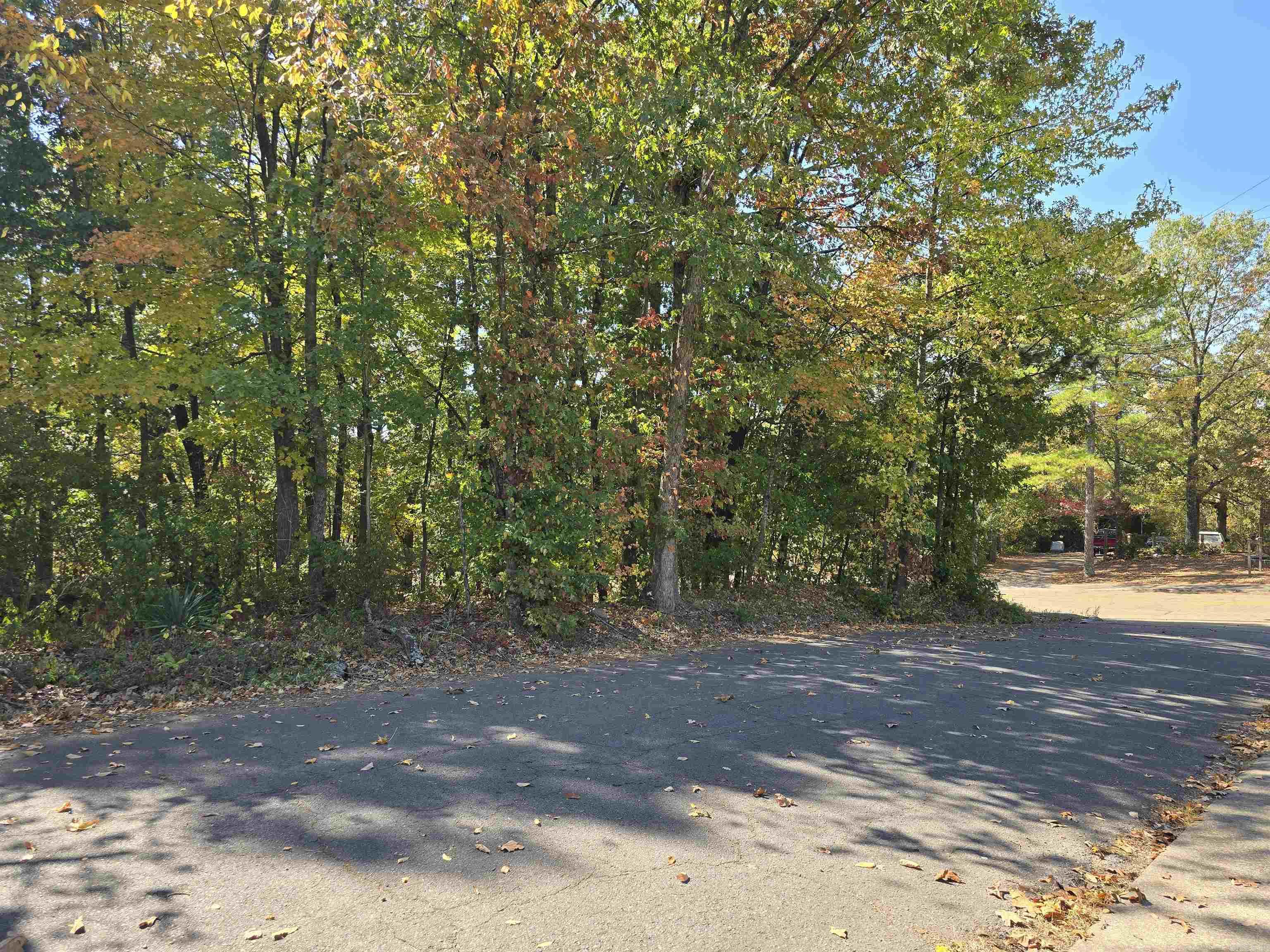 Tbd Cole & Reine Property Photo 5