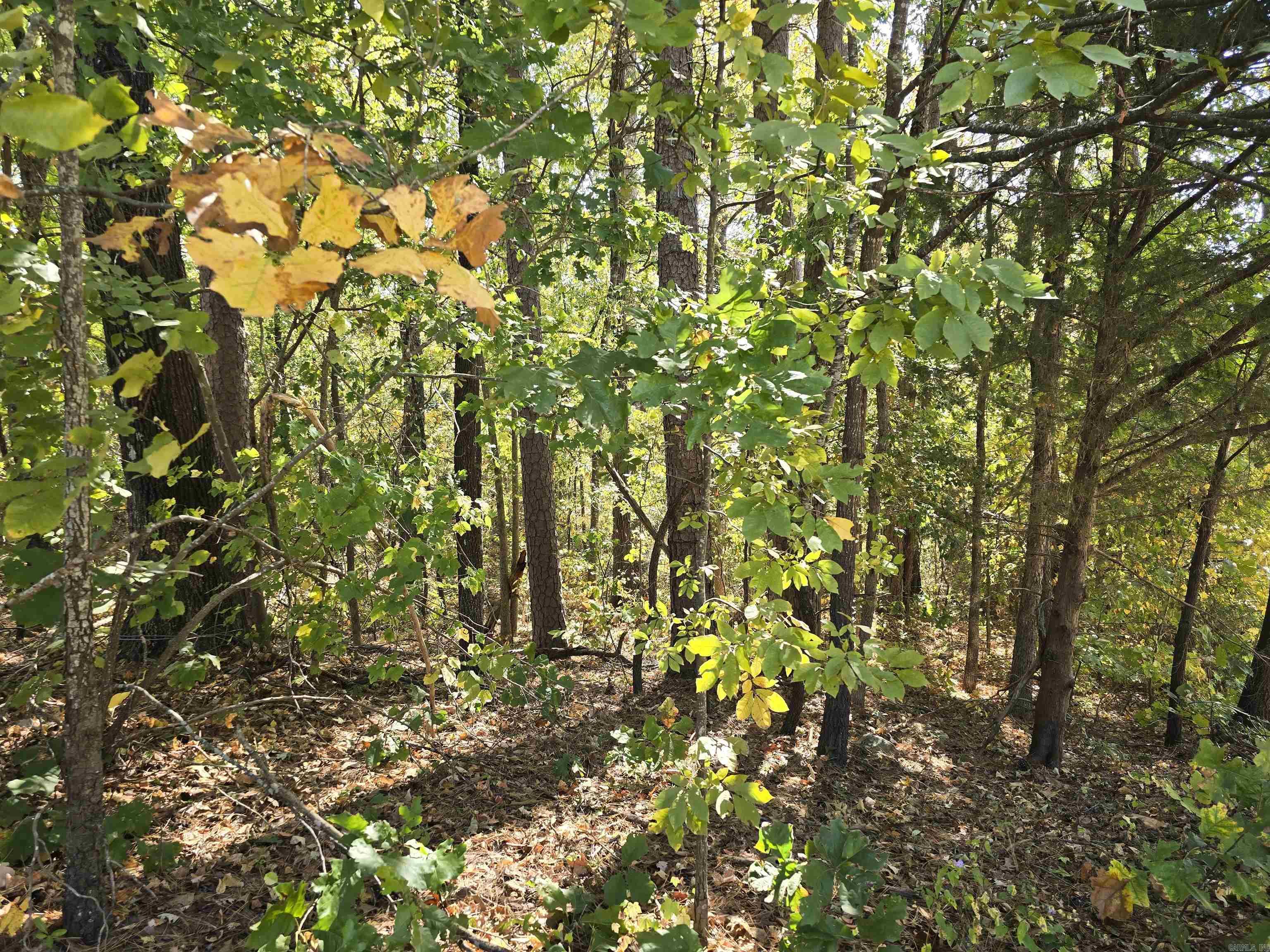 Tbd Cole & Reine Property Photo 8