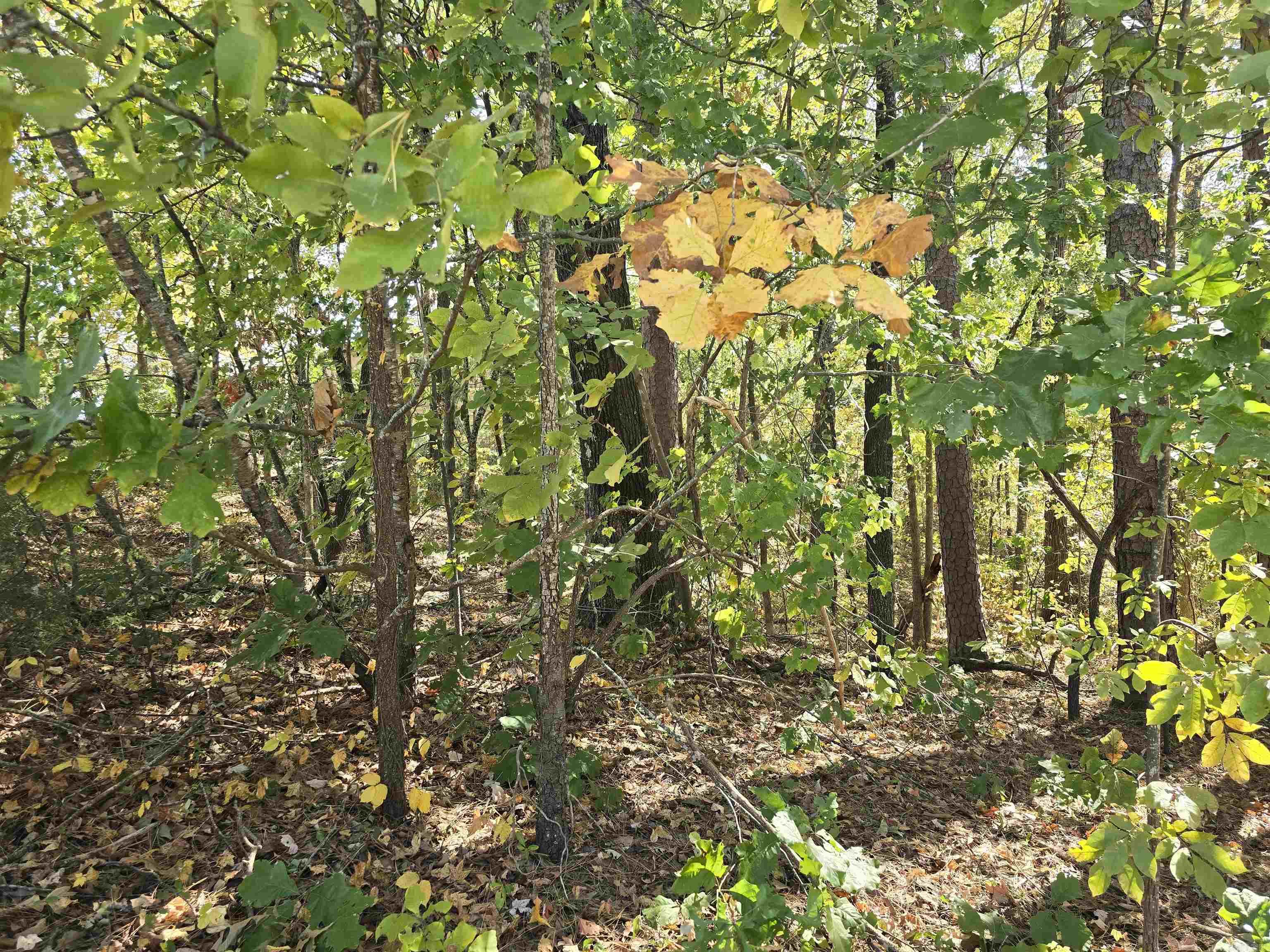 Tbd Cole & Reine Property Photo 9