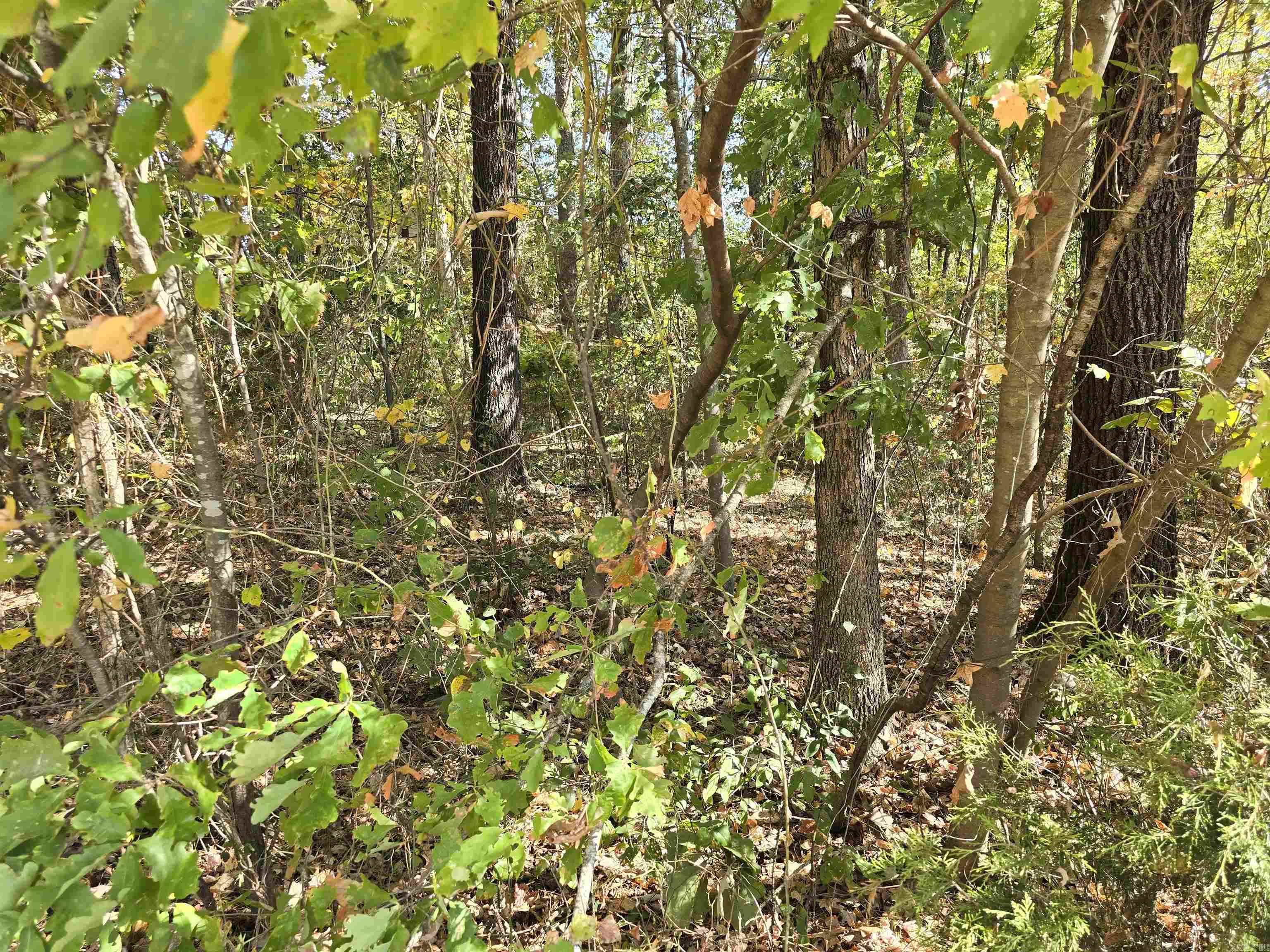 Tbd Cole & Reine Property Photo 10