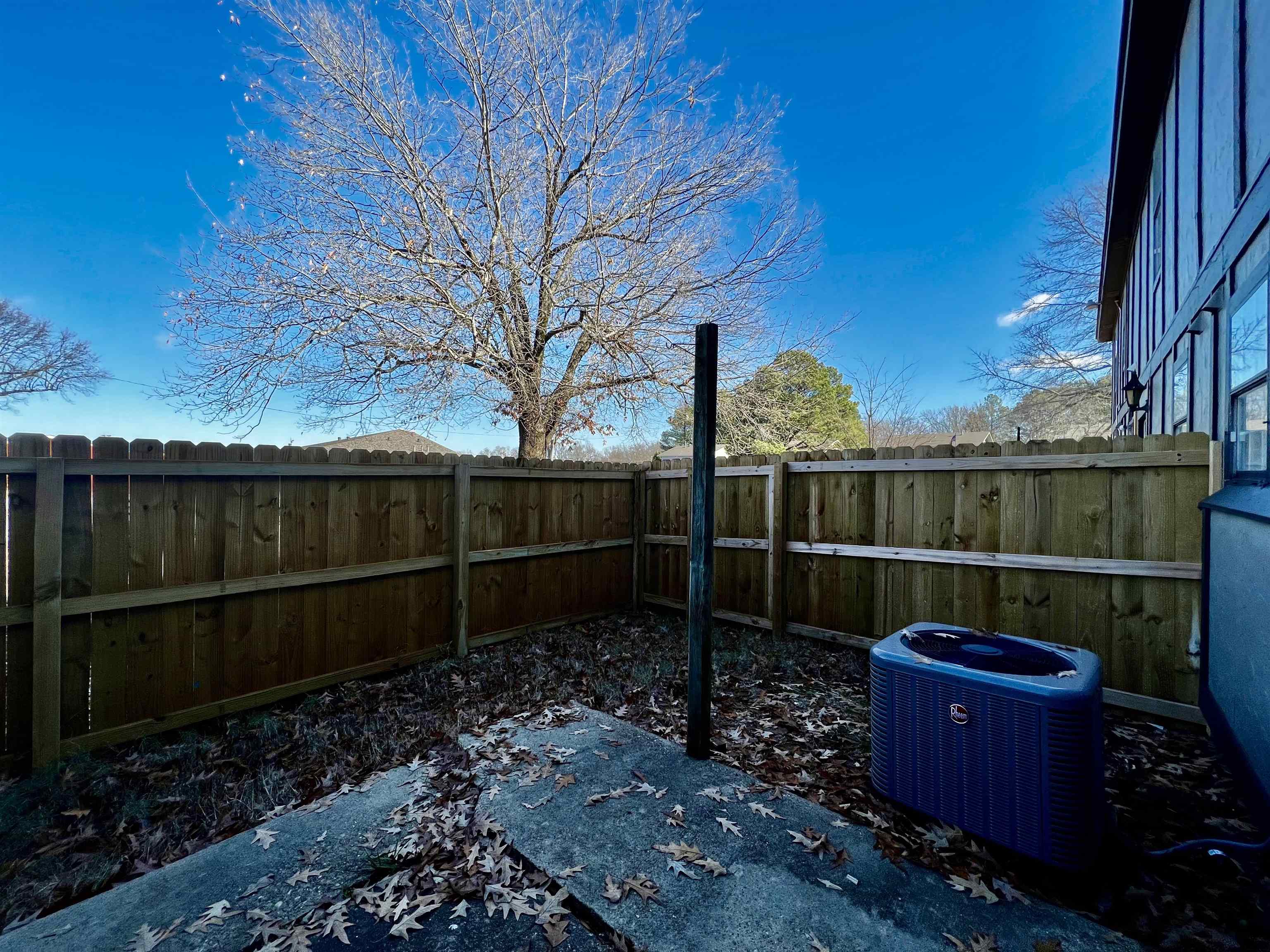 1906 W Matthews Avenue Property Photo 16