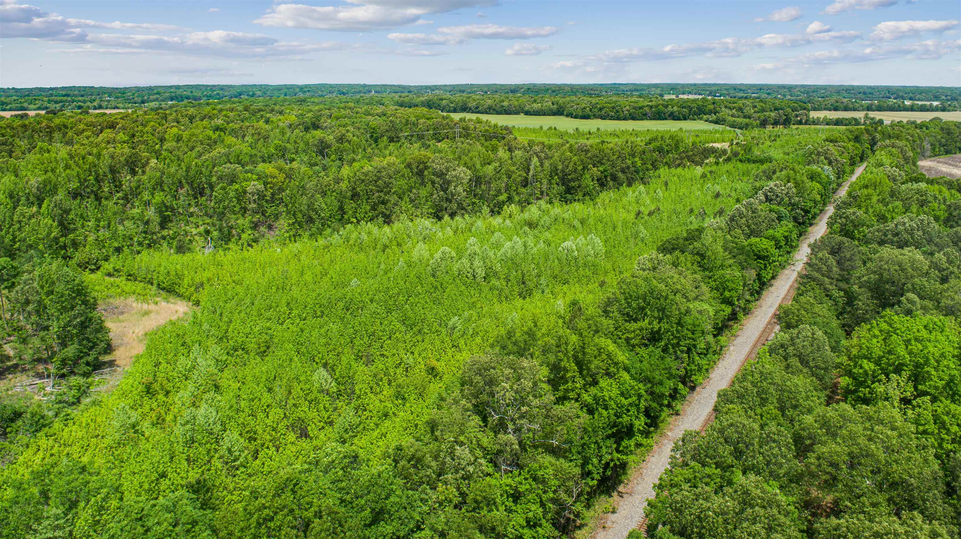 67.78 Acres Cr 114 Property Photo 4