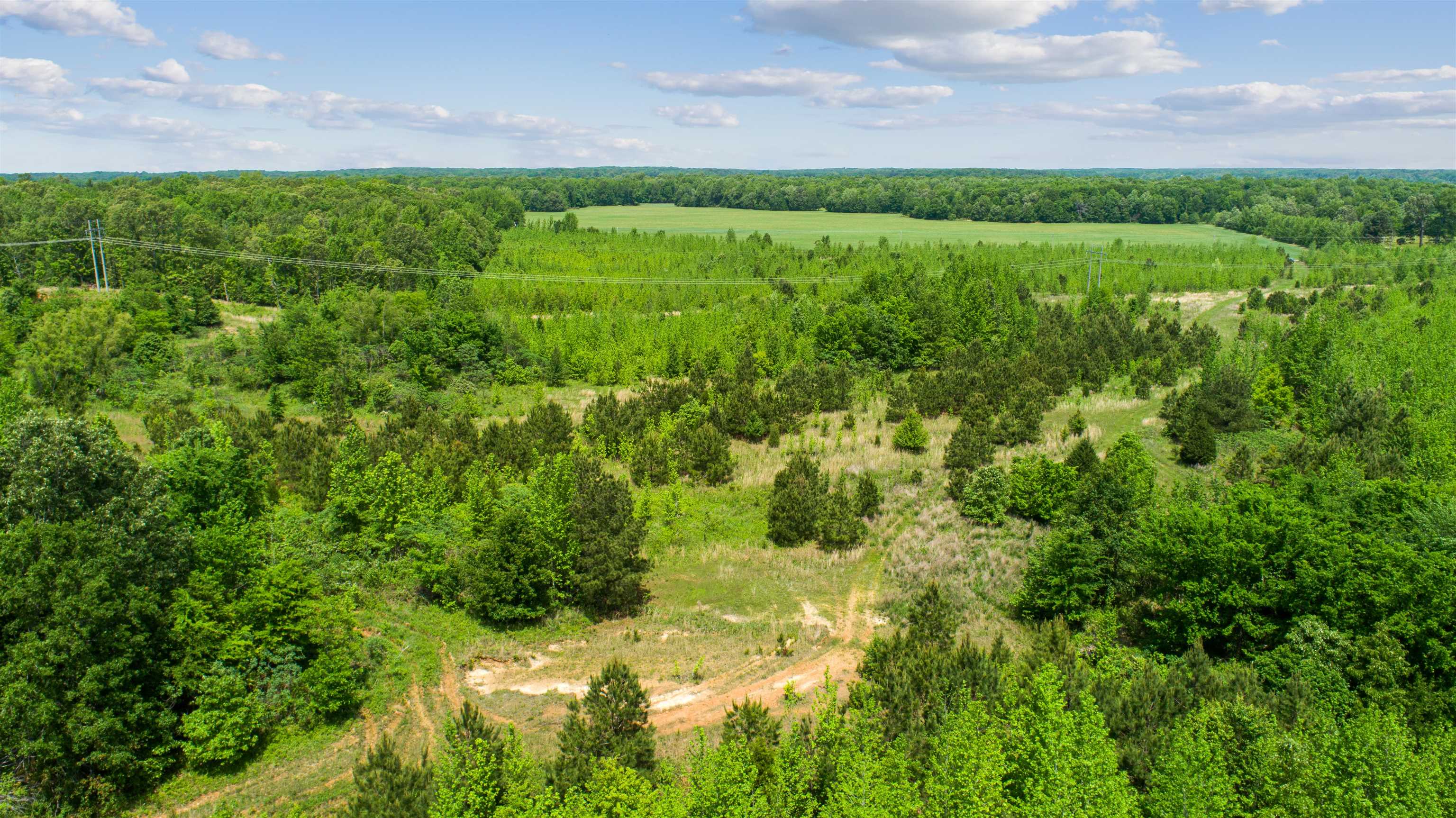 67.78 Acres Cr 114 Property Photo 5