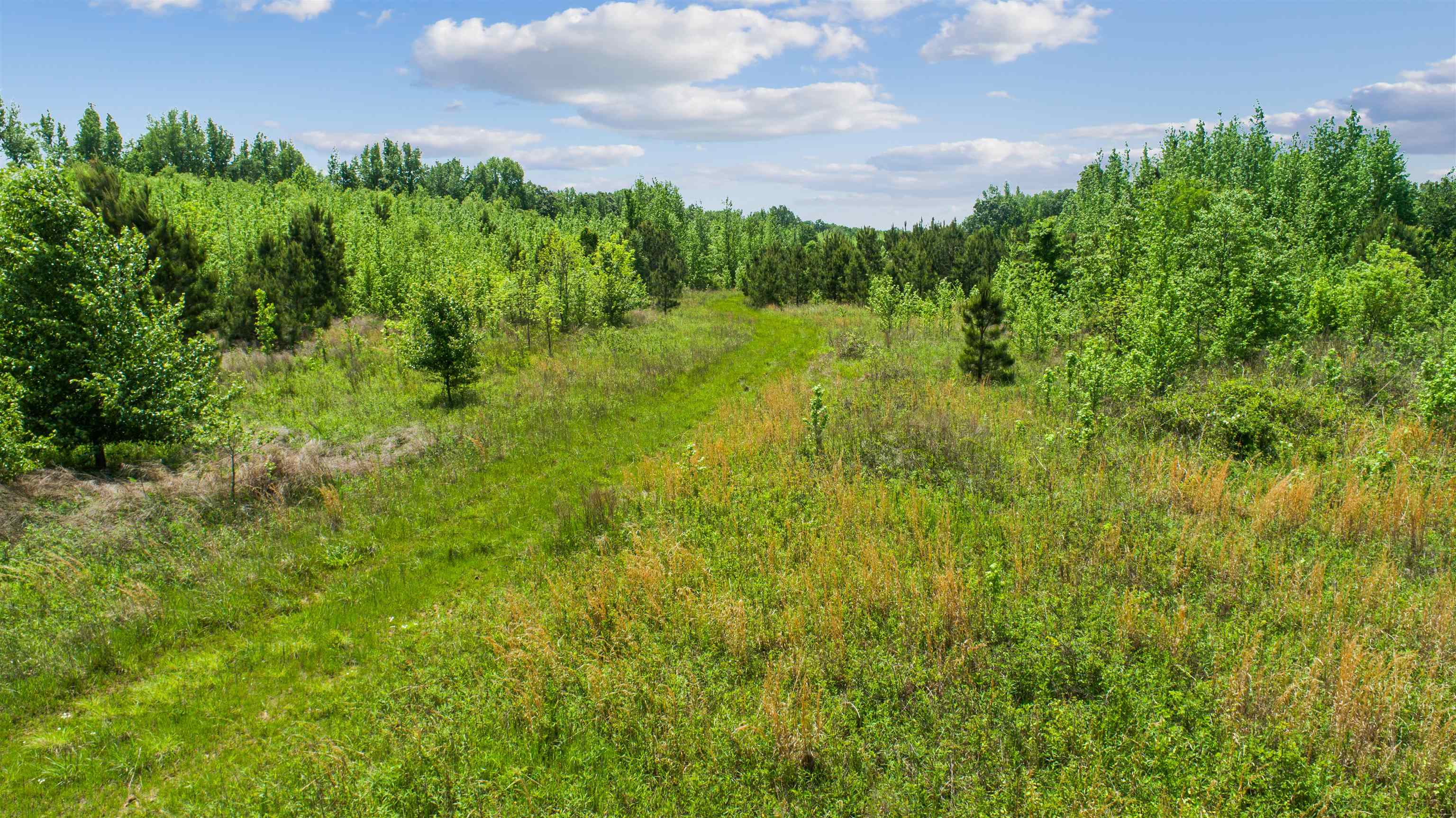 67.78 Acres Cr 114 Property Photo 6