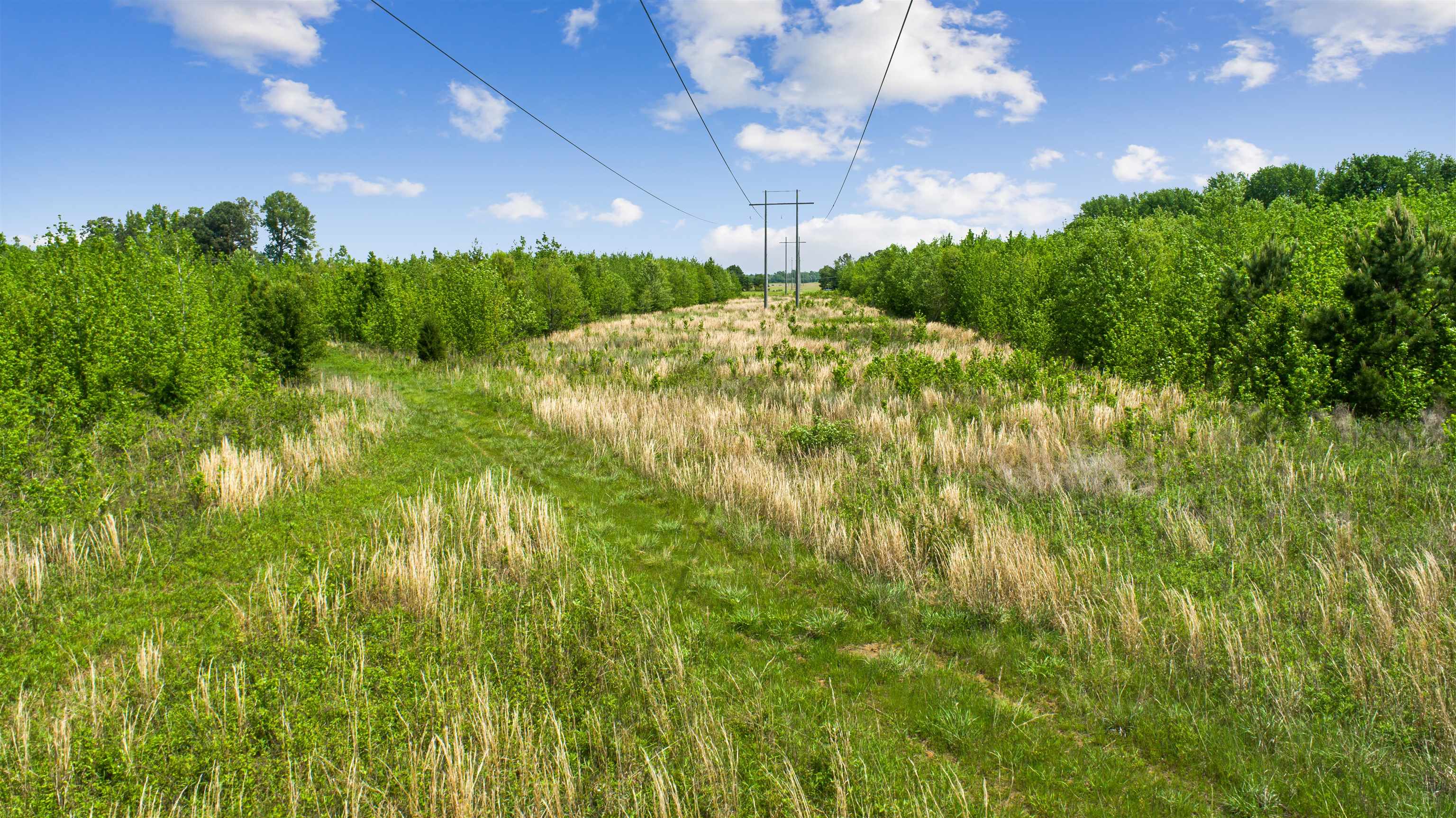 67.78 Acres Cr 114 Property Photo 7