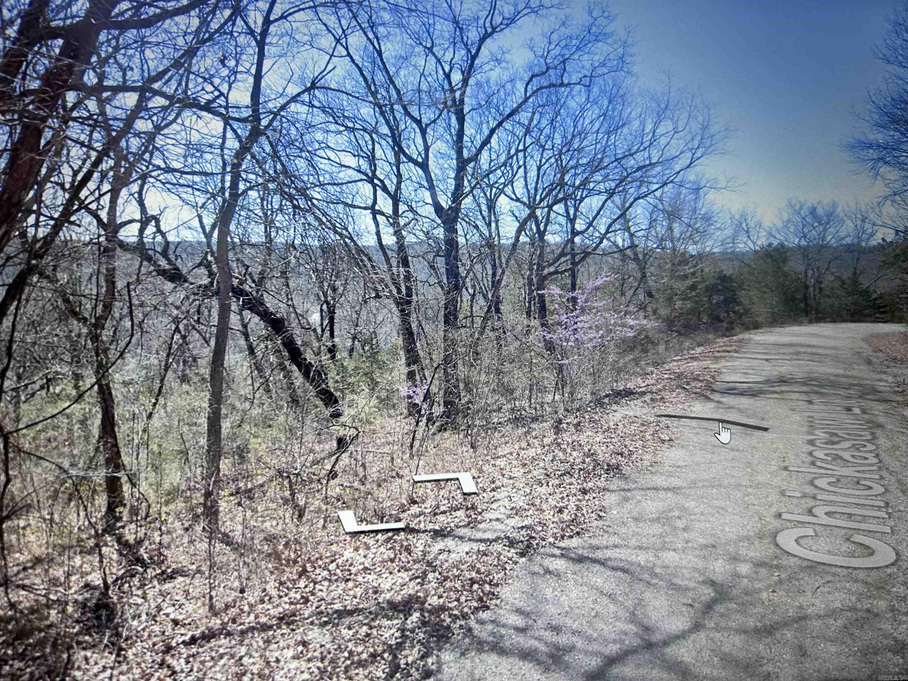 Lot 31 Chickasaw Lane Property Photo 2